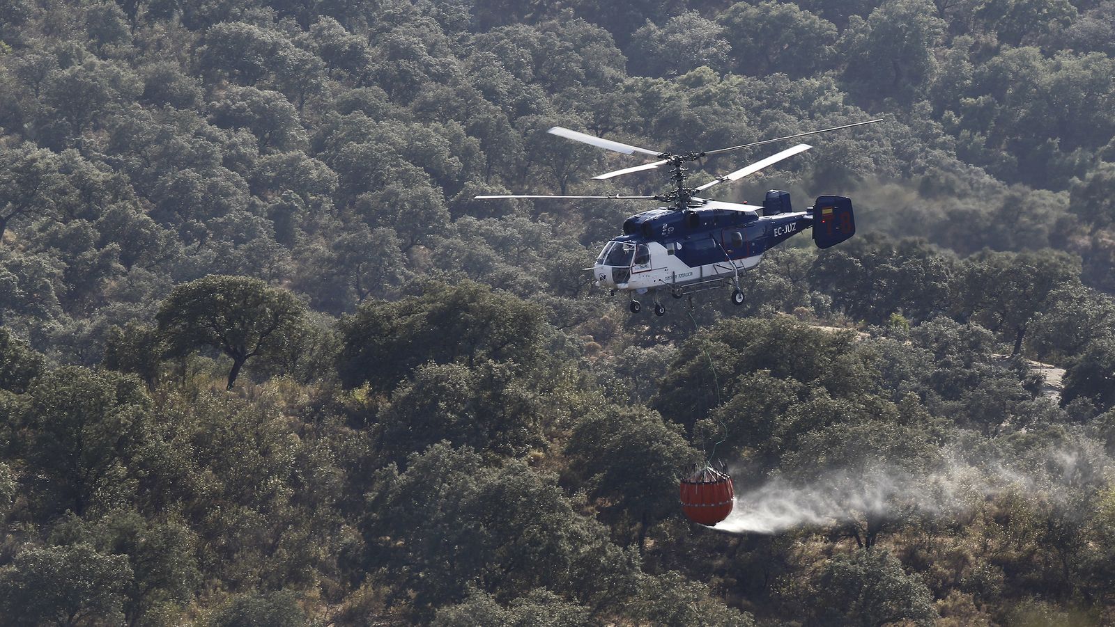 El incendio forestal de El Ronquillo, en imágenes