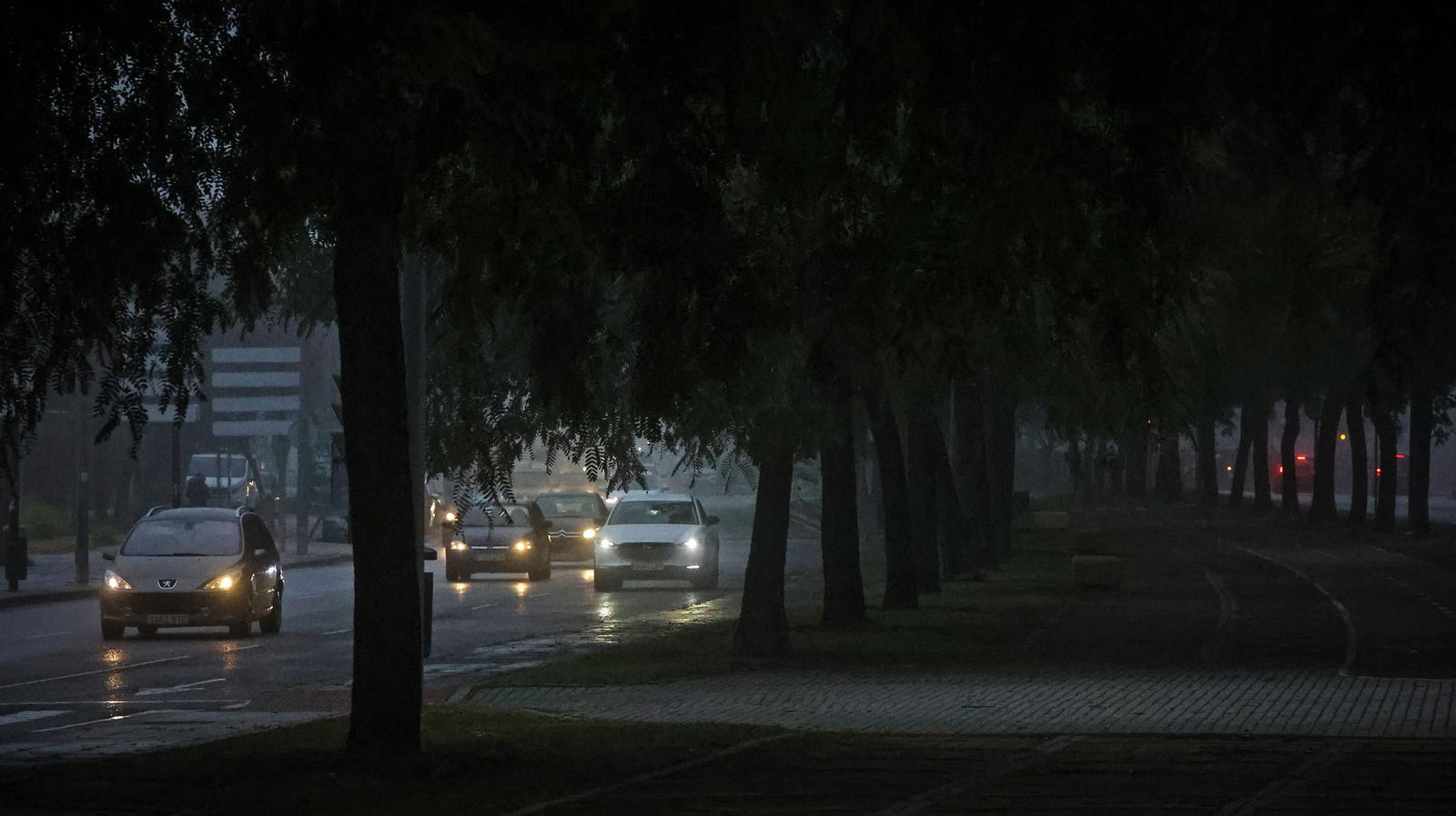 Densa niebla en Jerez