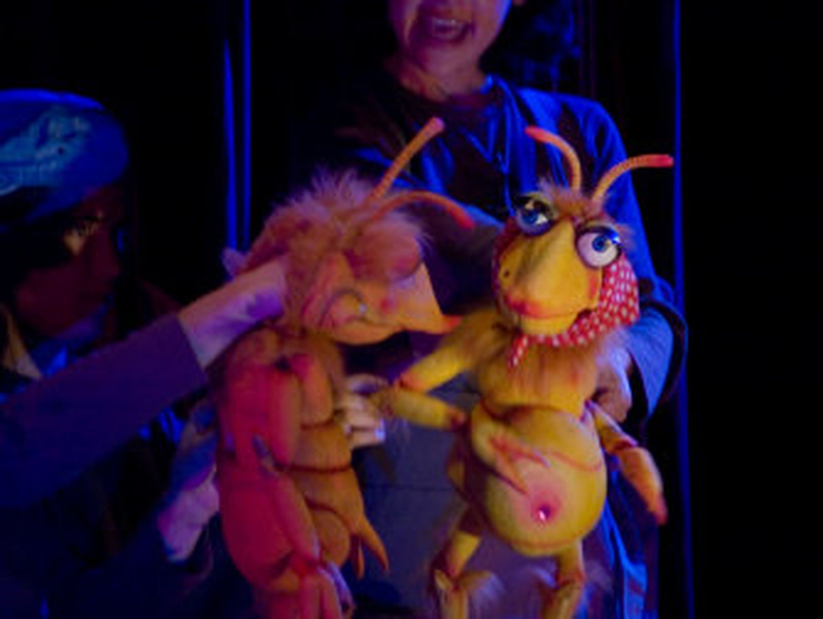 Las aventuras de un piojo a través de unas marionetas