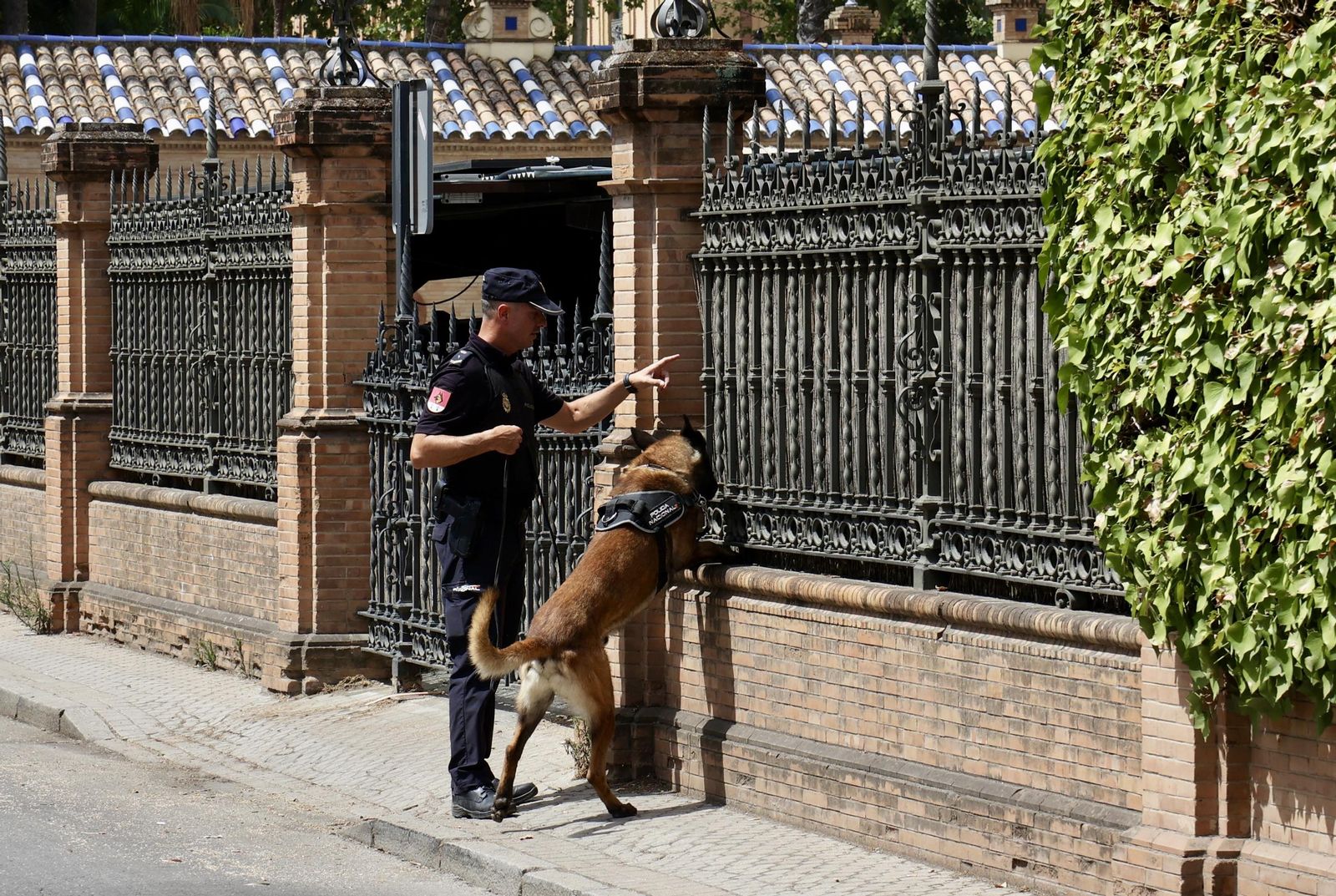 Policía Nacional hace inspecciones del subsuelo y con los perros para la ONU