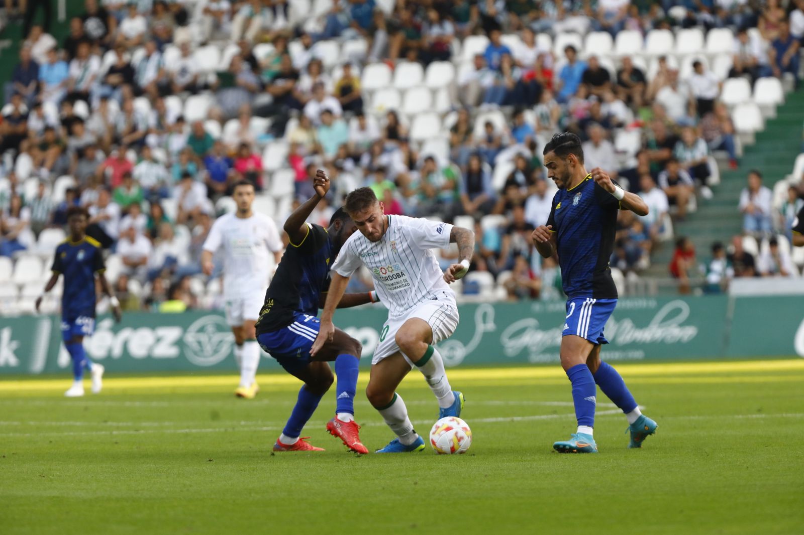 Las mejores imágenes del Córdoba CF - Talavera
