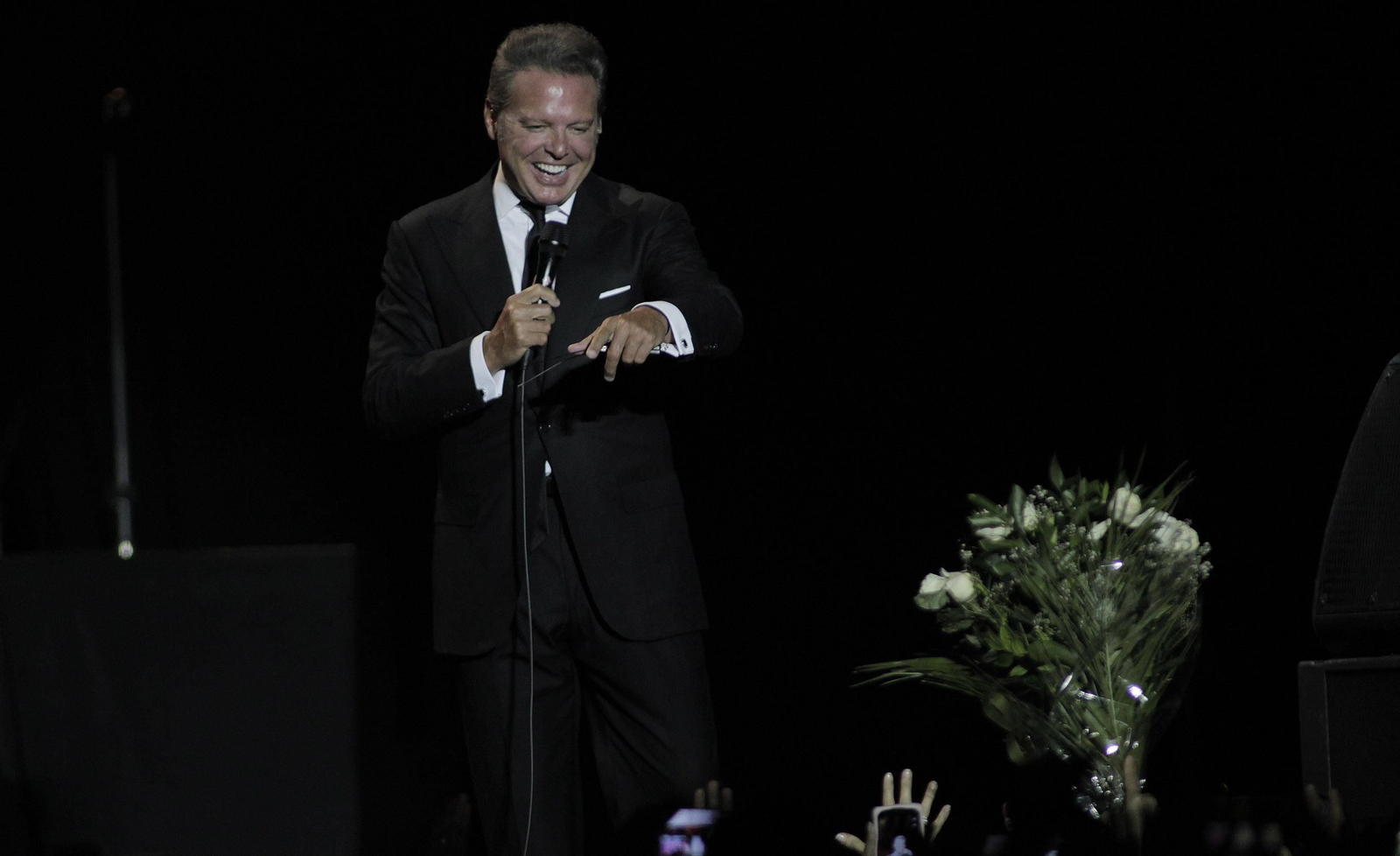 Luis Miguel en concierto