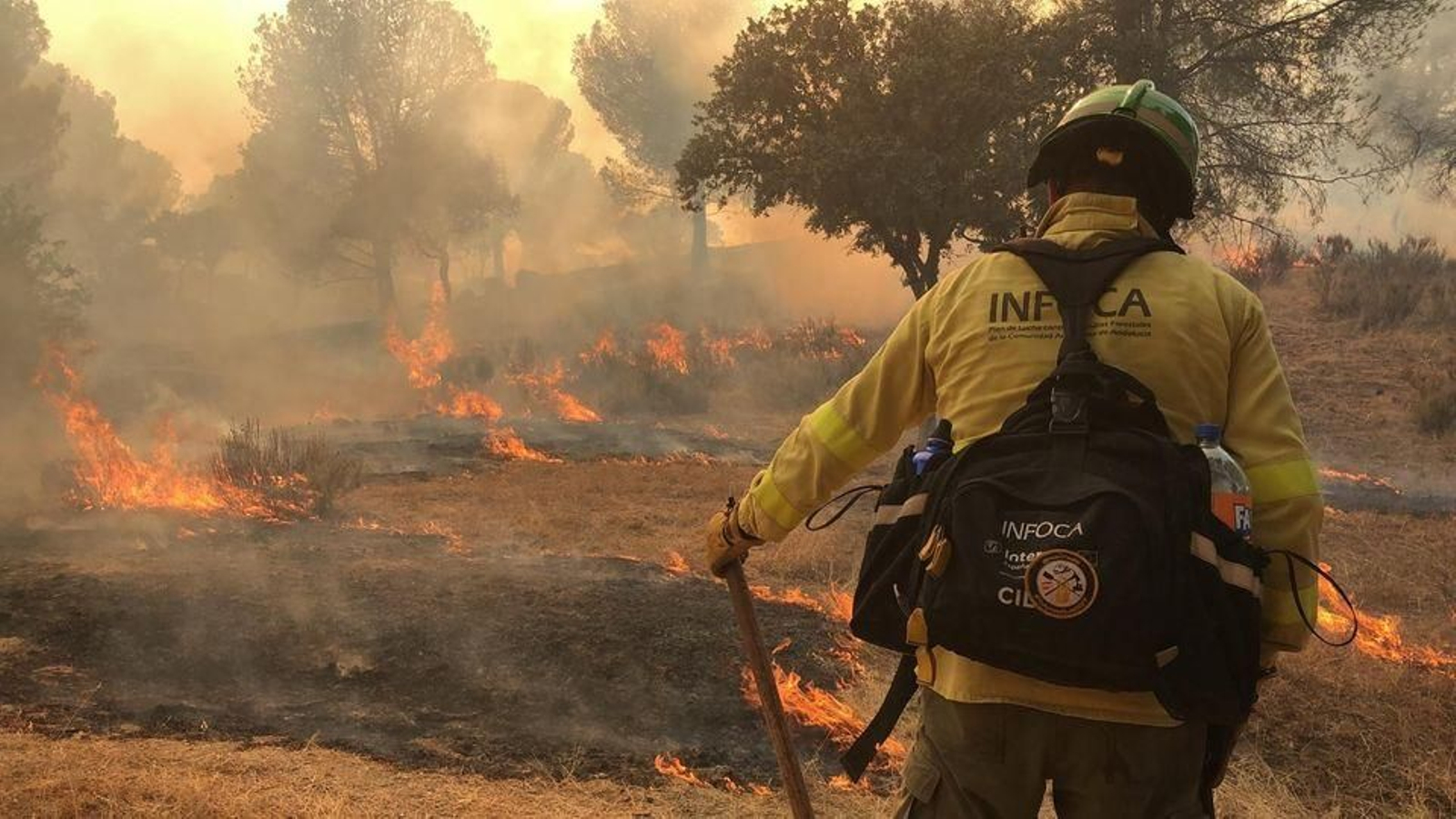 Así es el trabajo de los bomberos y equipos de extinción en el incendio de Andújar, en imágenes