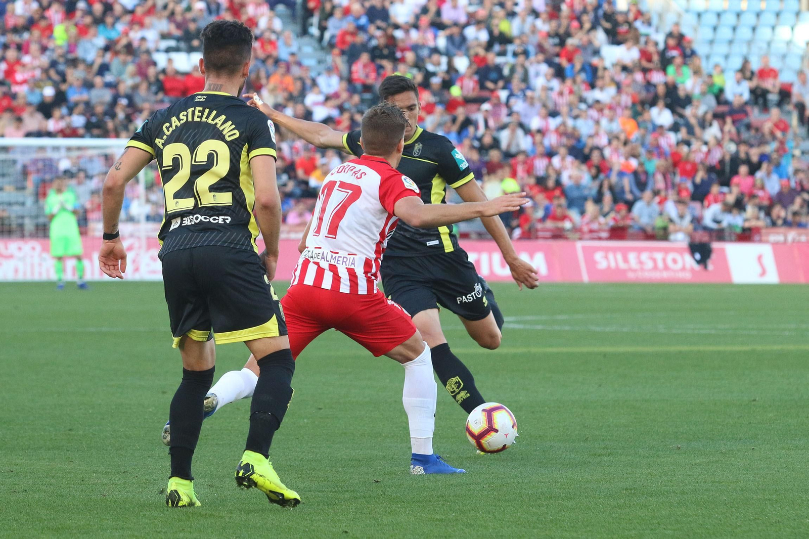 Fotogalería del Almería-Granada