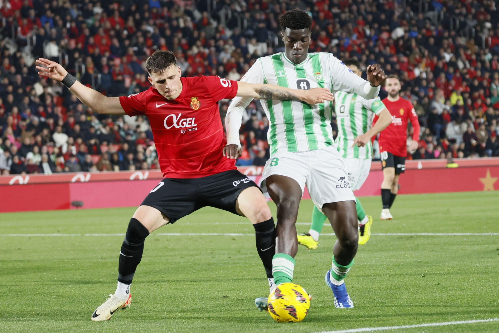 Las mejores fotos del Mallorca - Betis