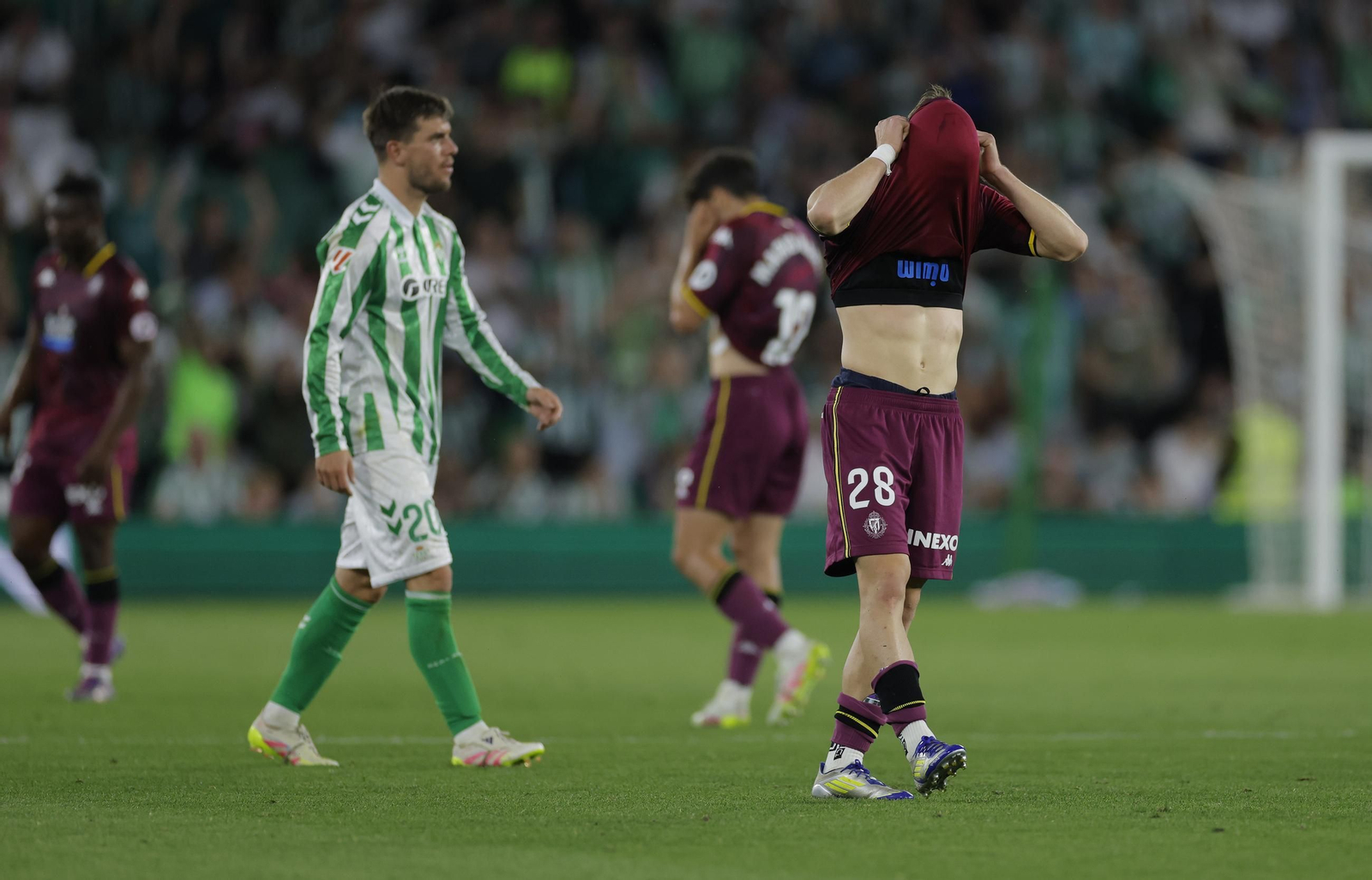 Las fotos del Betis - Valladolid