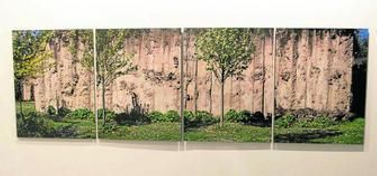 1. La galería Alarcón Criado (antes Full Art) ofrece paisajes fotográficos de Yeregui. 2. Juan del Junco y su serena mirada es una de las apuestas de la galería malagueña Alfredo Viñas. 3. Los Príncipes de Asturias inauguran oficialmente Arco 2011.  4. Obras de Curro González y Juan Suárez en el expositor de Rafael Ortiz. 5. Proyecto sobre el Polígono Norte de Juan Carlos Robles.