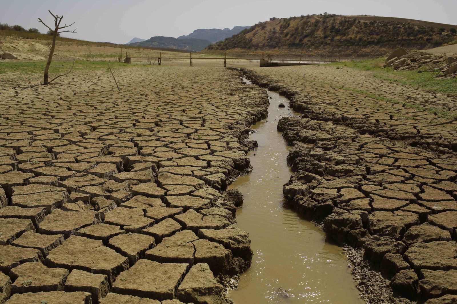 Almería vivirá de sequía en sequía