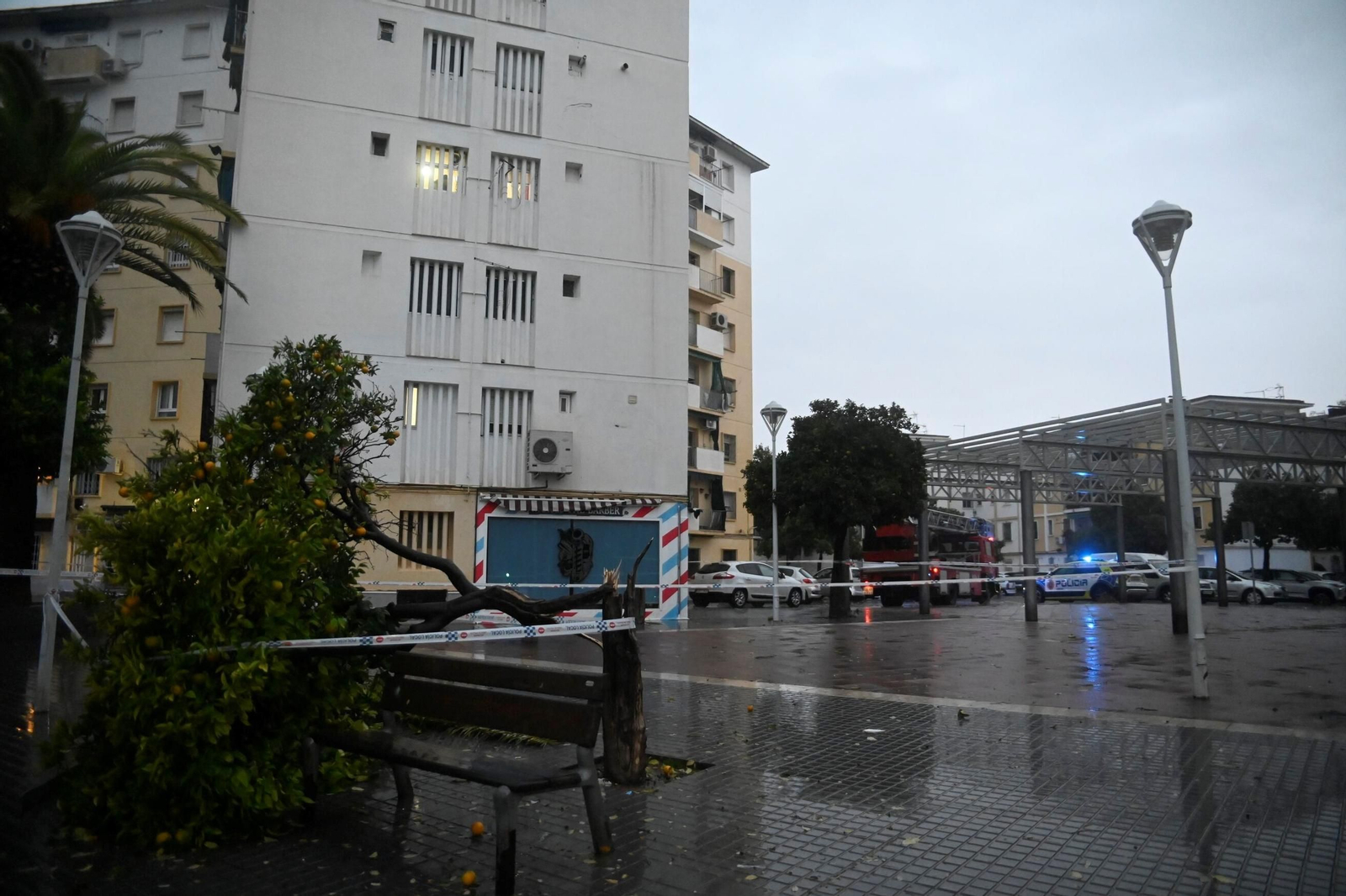 Las imágenes de los daños causados por el fuerte viento en el Sector Sur en Córdoba