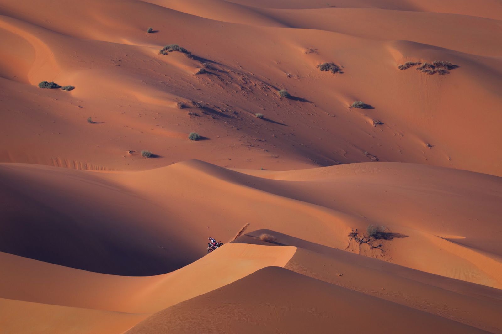 Las mejores fotos del Dakar por las dunas