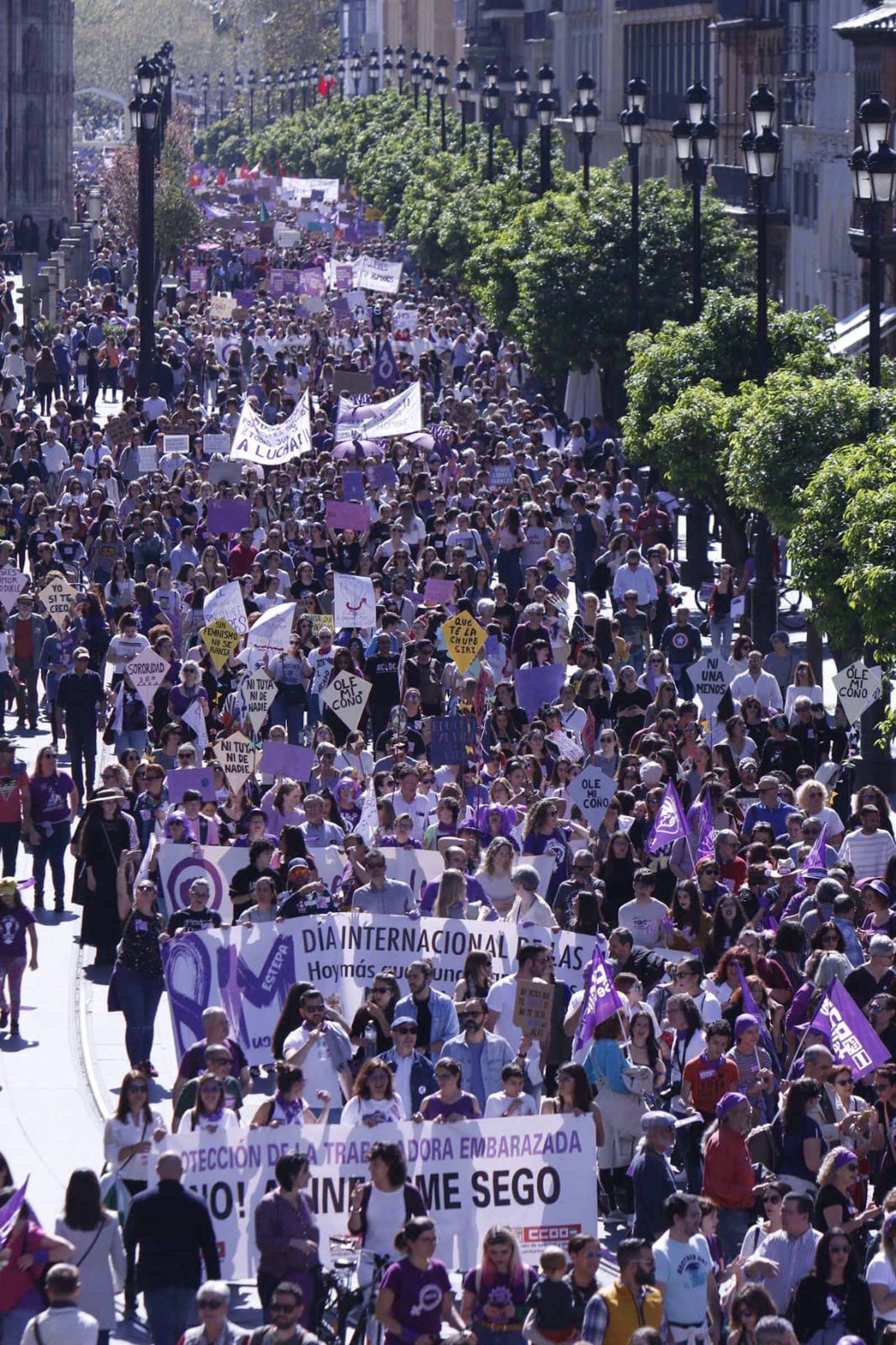 Las imágenes de las manifestaciones del 8M en Sevilla.
