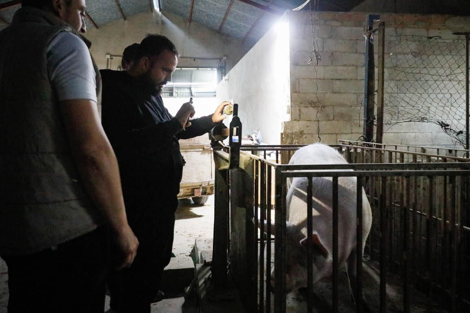 Te contamos en imágenes como son las matanzas en Chirivel