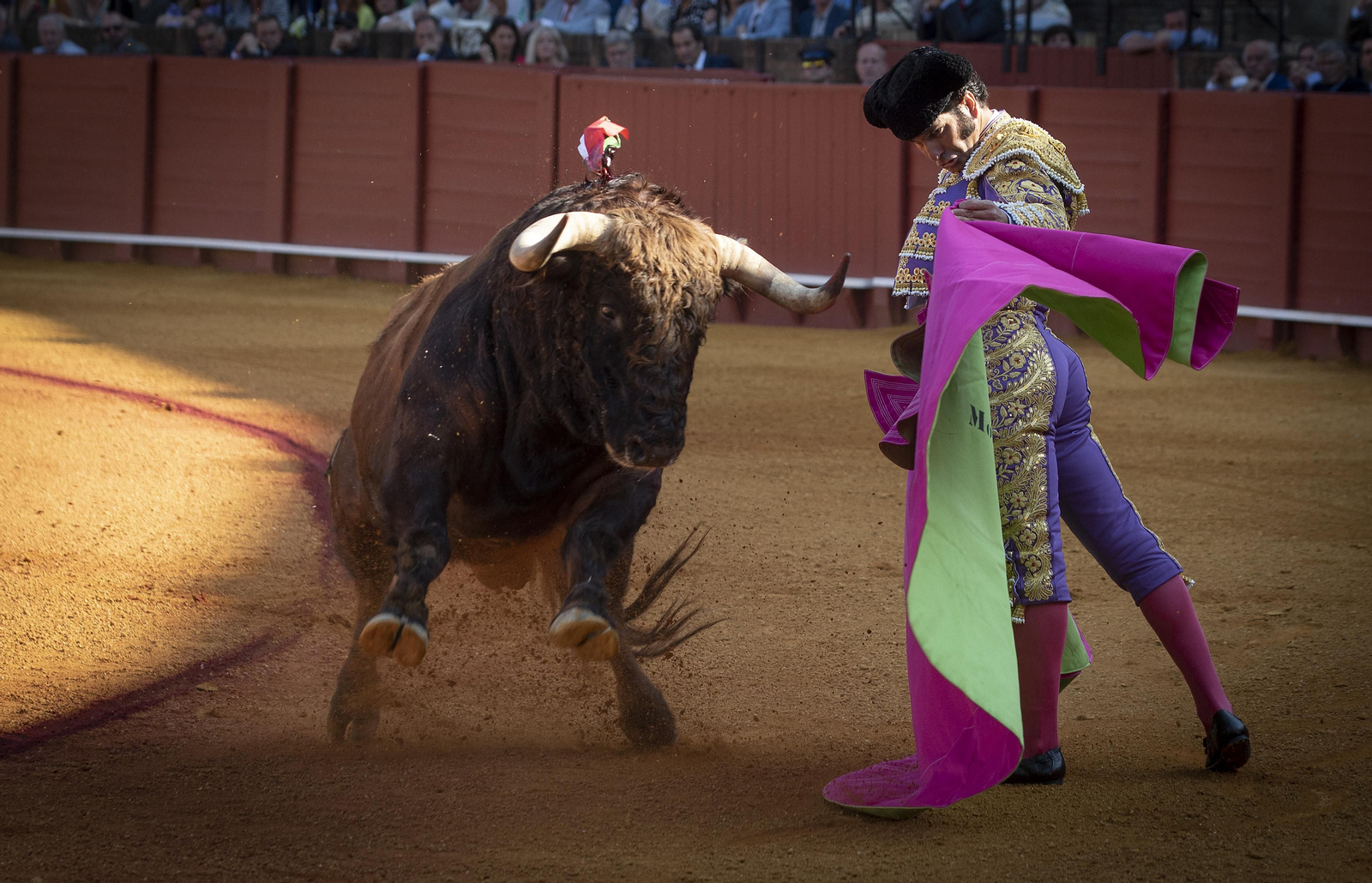 Las mejores imágenes del duodécimo festejo de toros