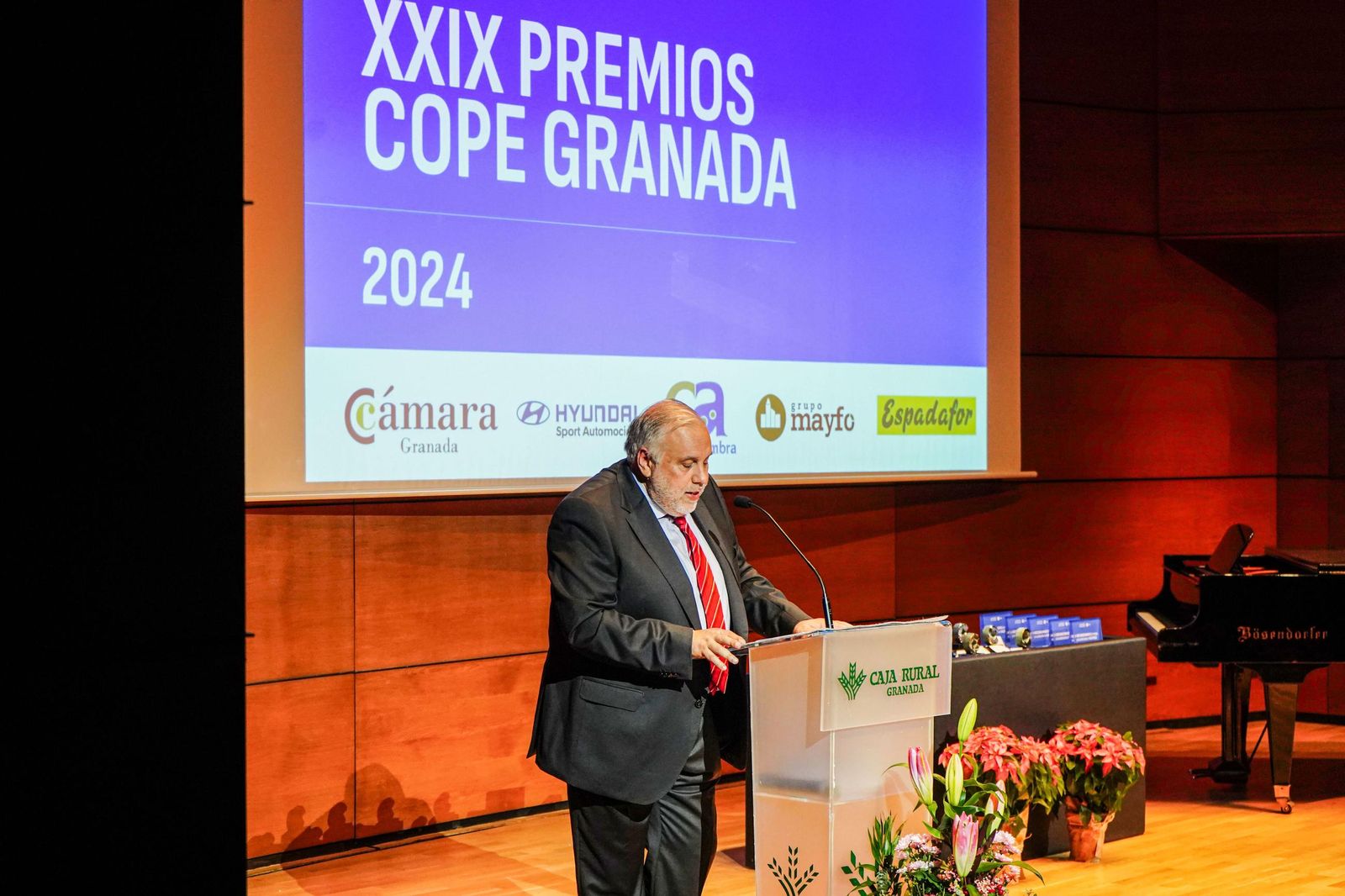Las mejores fotos de los Premios Cope Granada
