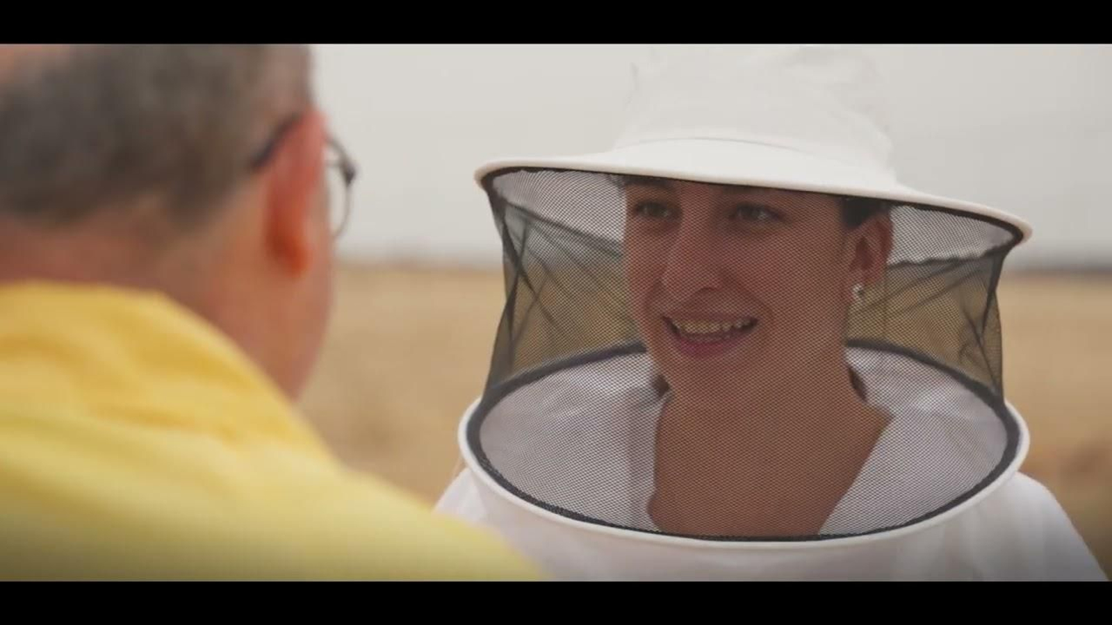 Abejas: descubriendo la miel solar en las plantas renovables | Conexión a Tierra