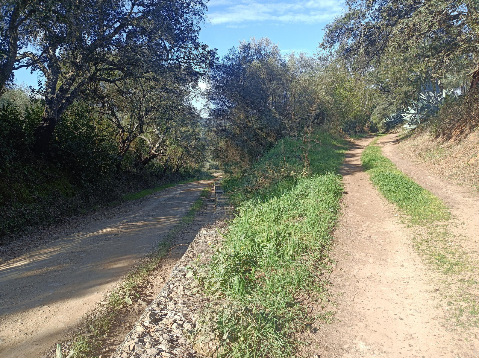 Las fotos de la circular de los Molinos del Ciudadeja