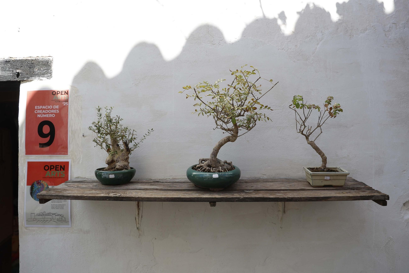 Fotos del Festival Open Arts en el Castillo de Castellar