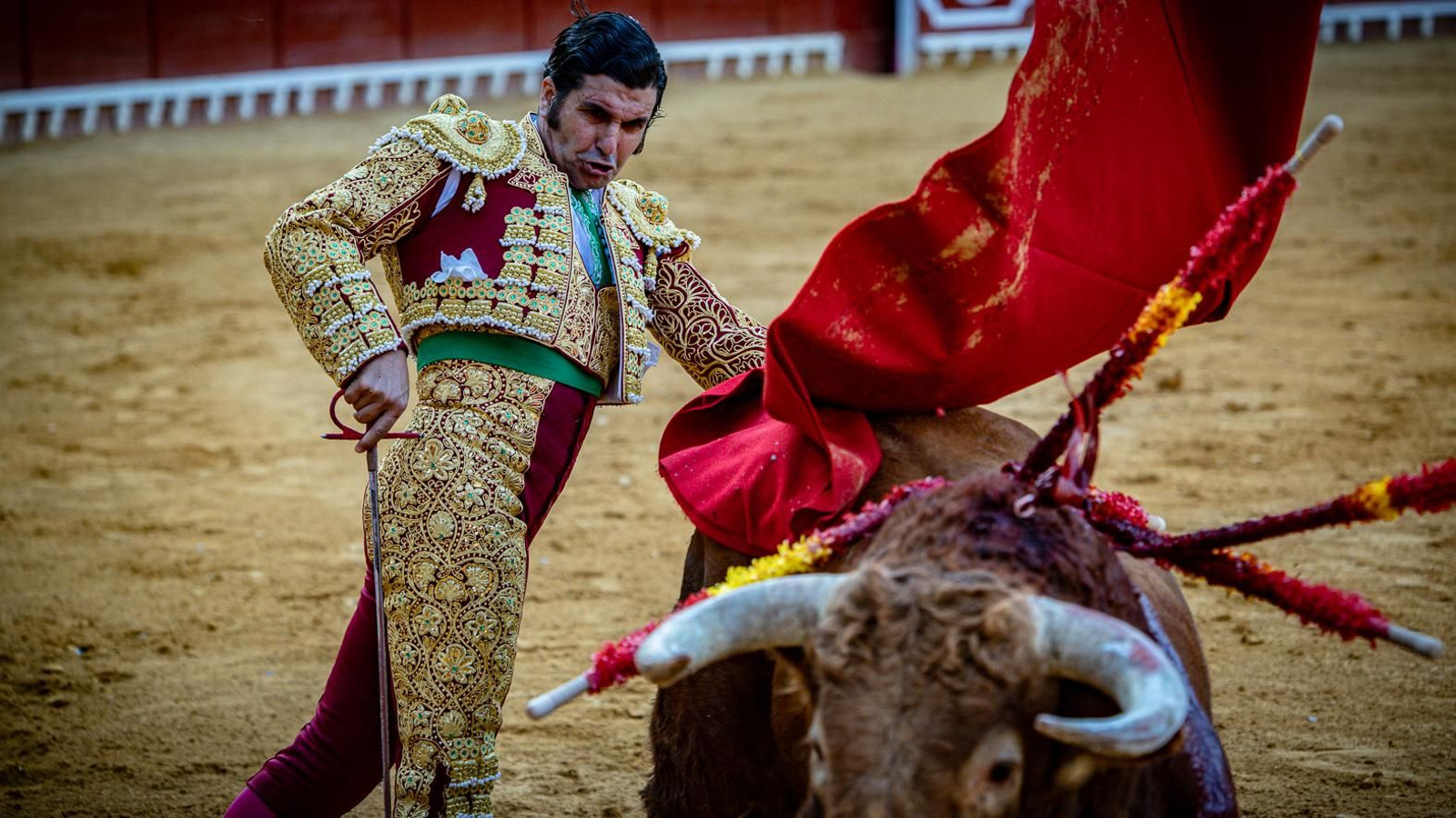 Las imágenes de la corrida de toros en El Puerto: Morante, Talavante y Juan Ortega