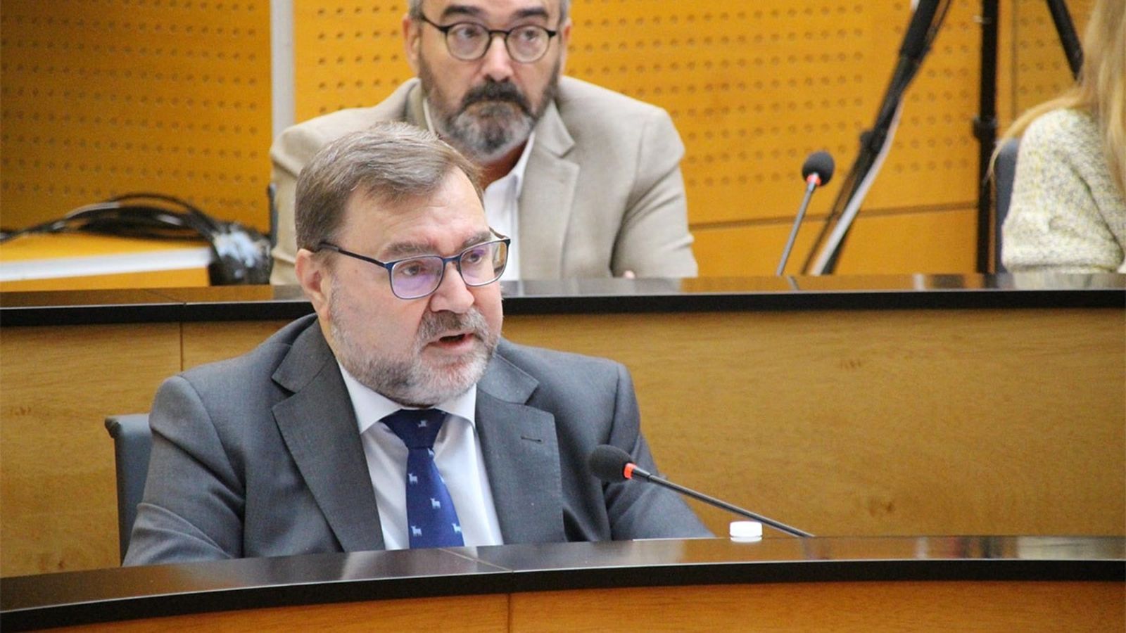 Carlos Zambrano, portavoz de VOX en San Fernando, en un Pleno