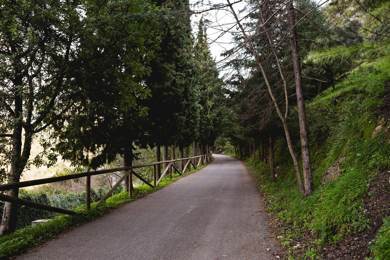 Así es el mágico paraje natural de la Sierra de Cádiz donde el agua de su manantial es la protagonista