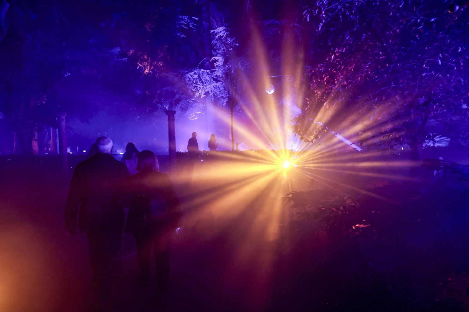 Las imágenes de un paseo por Naturaleza Encendida