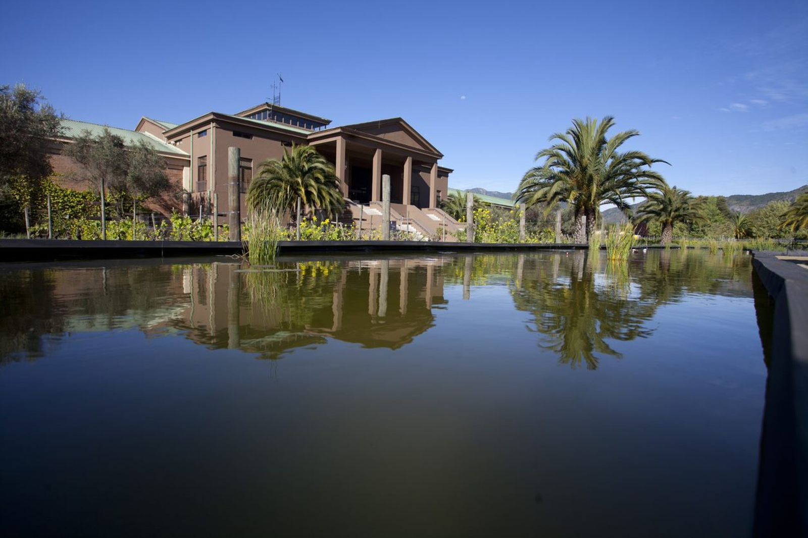 Imagen de Veramonte, la prestigiosa bodega chilena propiedad de González Byass.
