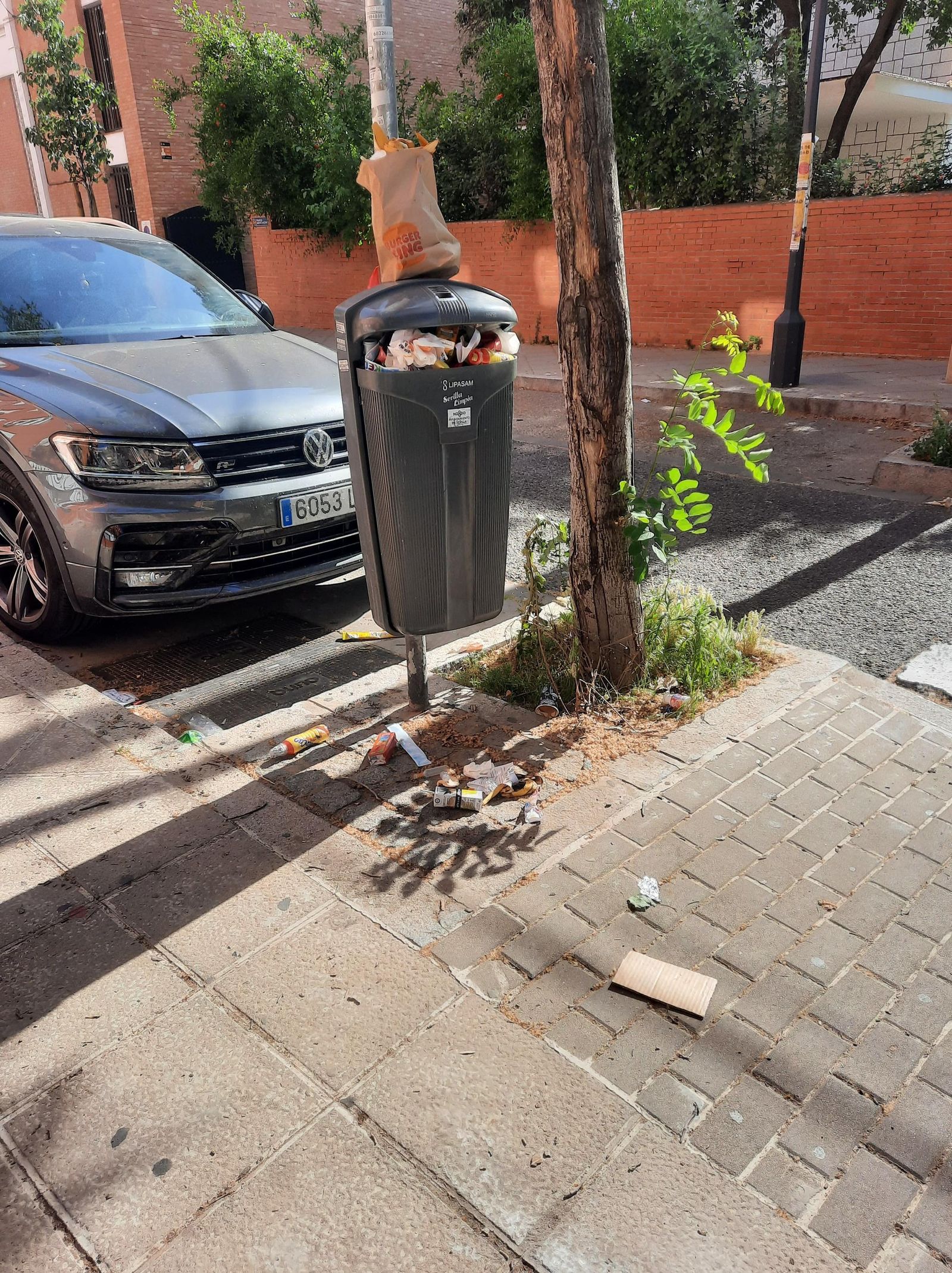 Papelera y alrededores repletos de residuos.