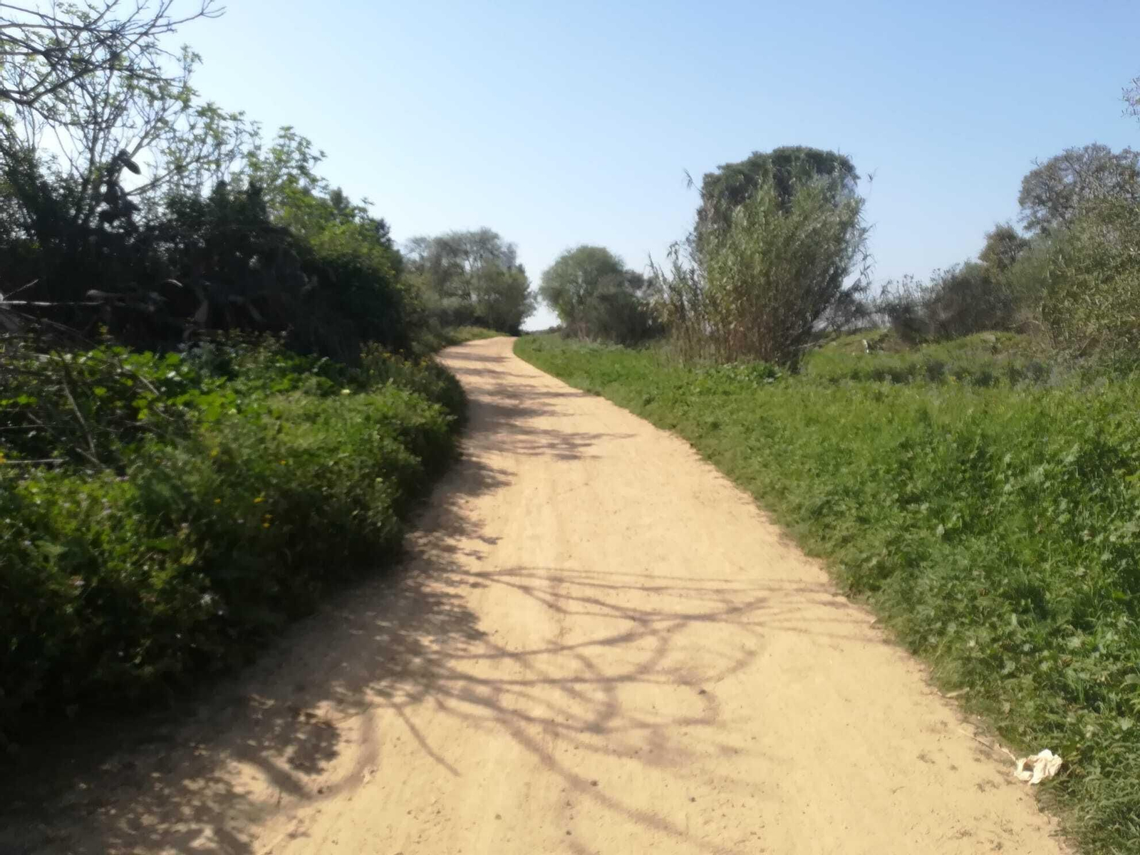 La ruta del Río Pudio por Espartinas, en imágenes