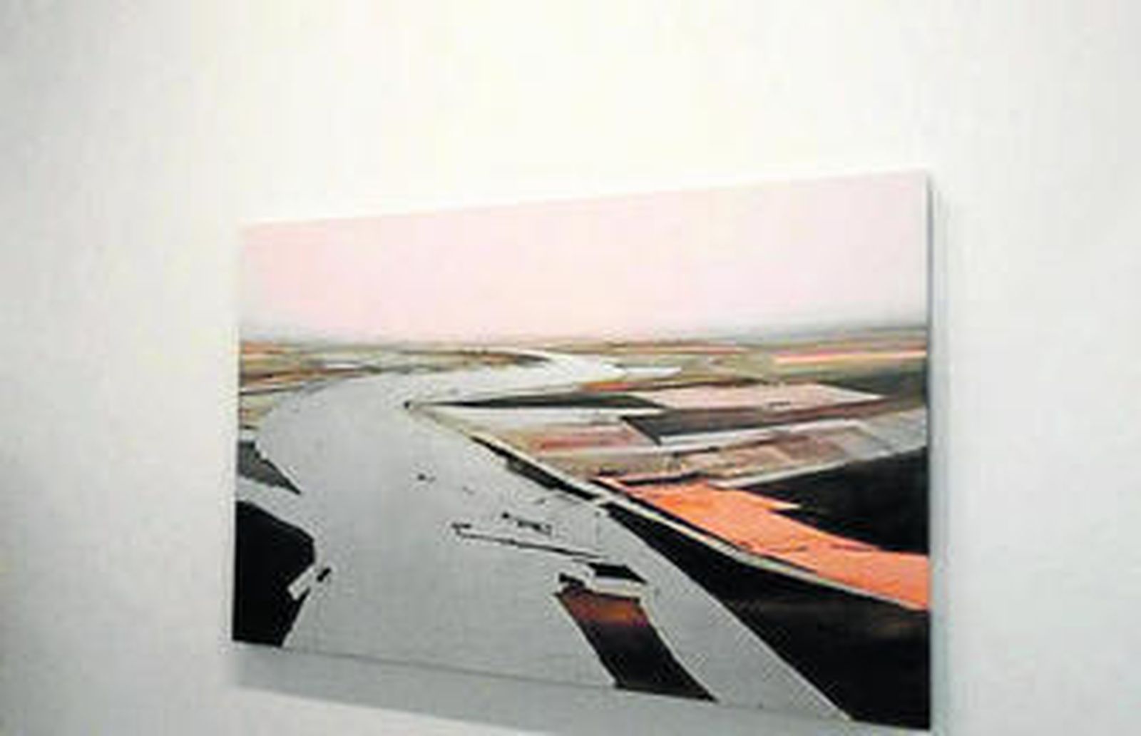 1. 'Anegación I' es el título del trabajo que presenta en la exposición el artista José Naranjo. 2. Susana Ibáñez expone en la sede de la Fundación Valentín de Madariaga su 'Mirabilia Naturae'. 3. 'Nido', una obra que firma la artista Ángela Mena y que forma parte de la muestra. 4. Rafael López Bosch llama a este trabajo 'En piel de zorro'.