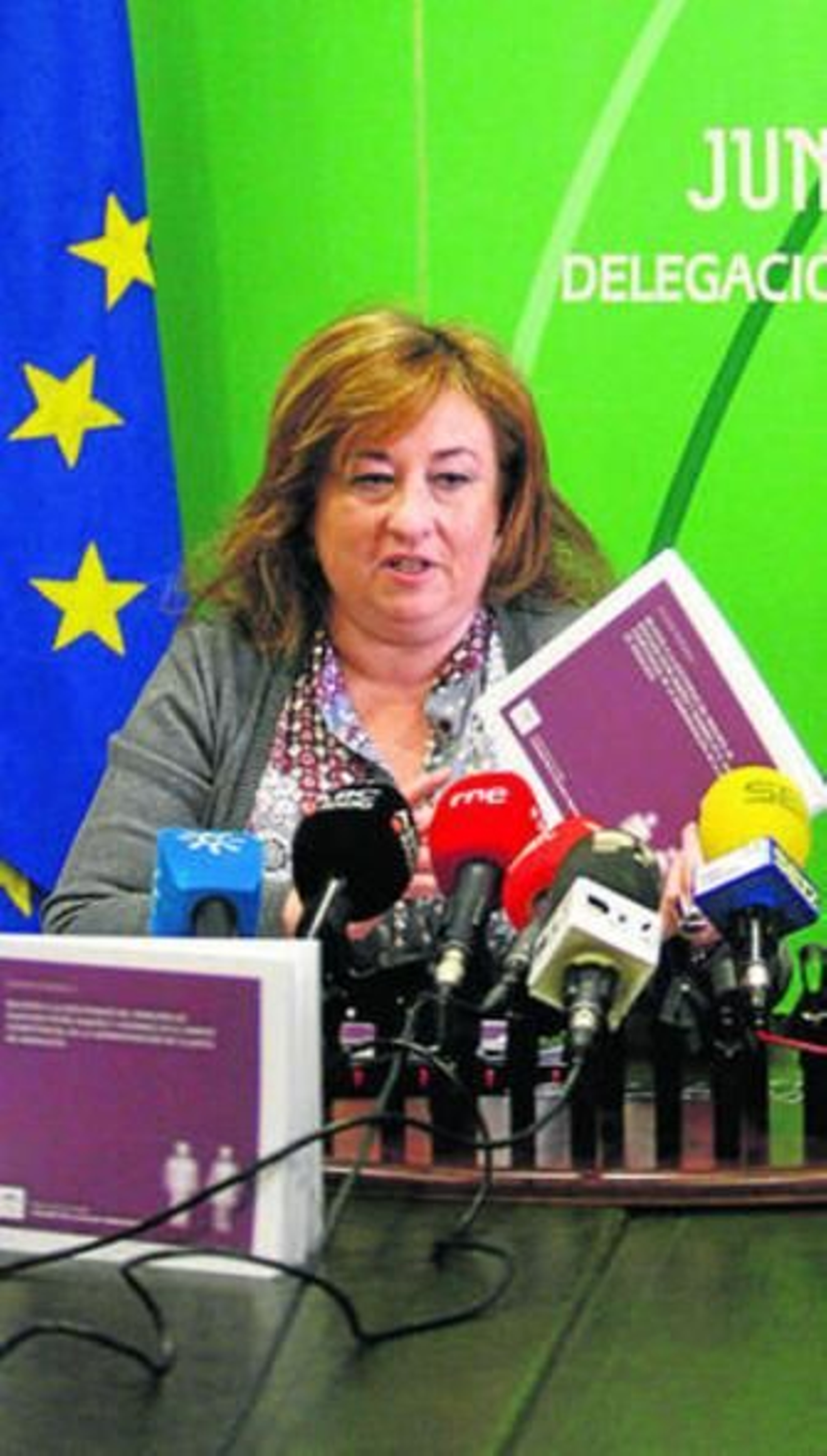 Soledad Pérez, ayer en la Delegación del Gobierno.