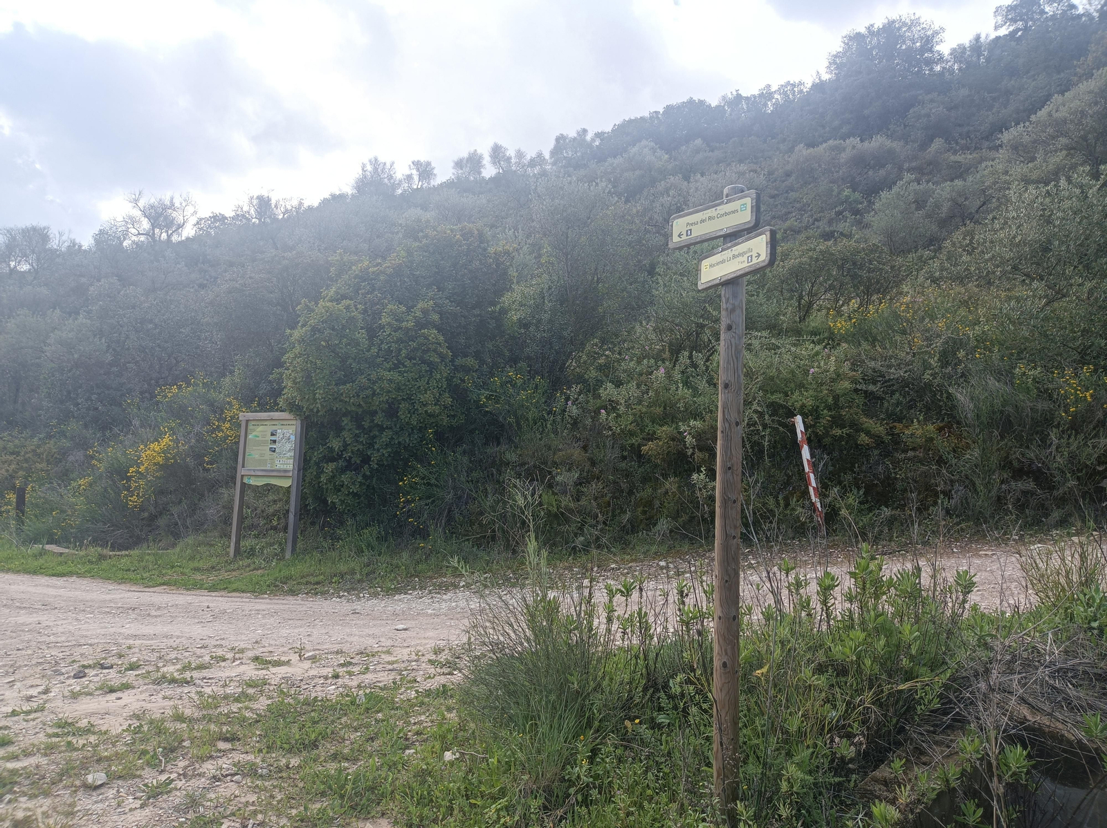 Pasamos por la bifurcación del principio.