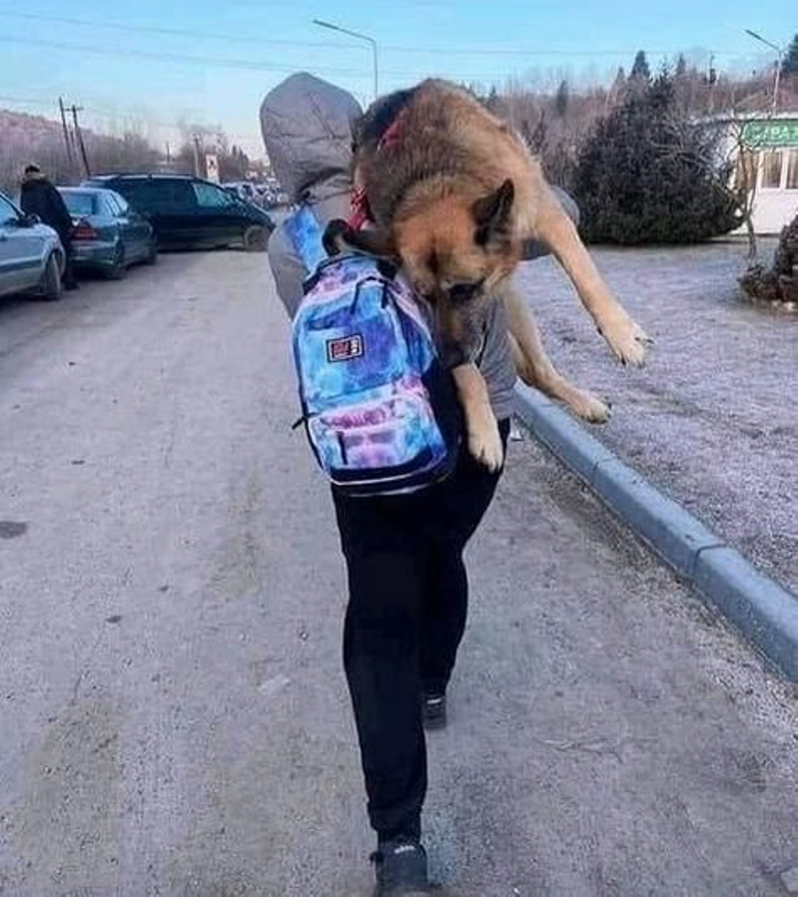 Una chica carga en brazos a su viejo amigo