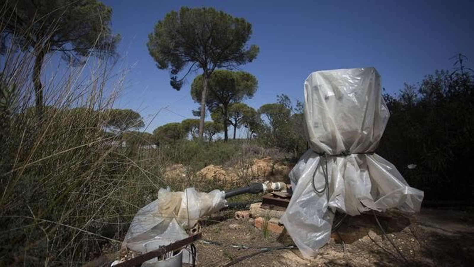 Un pozo sellado en el entorno de Doñana