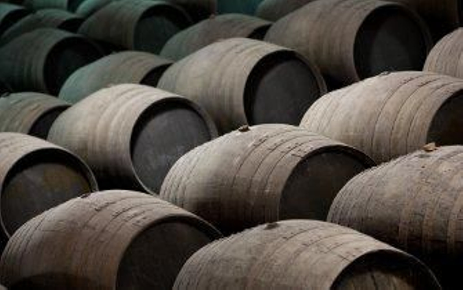 Y el jerez volvió a creer en la viña
