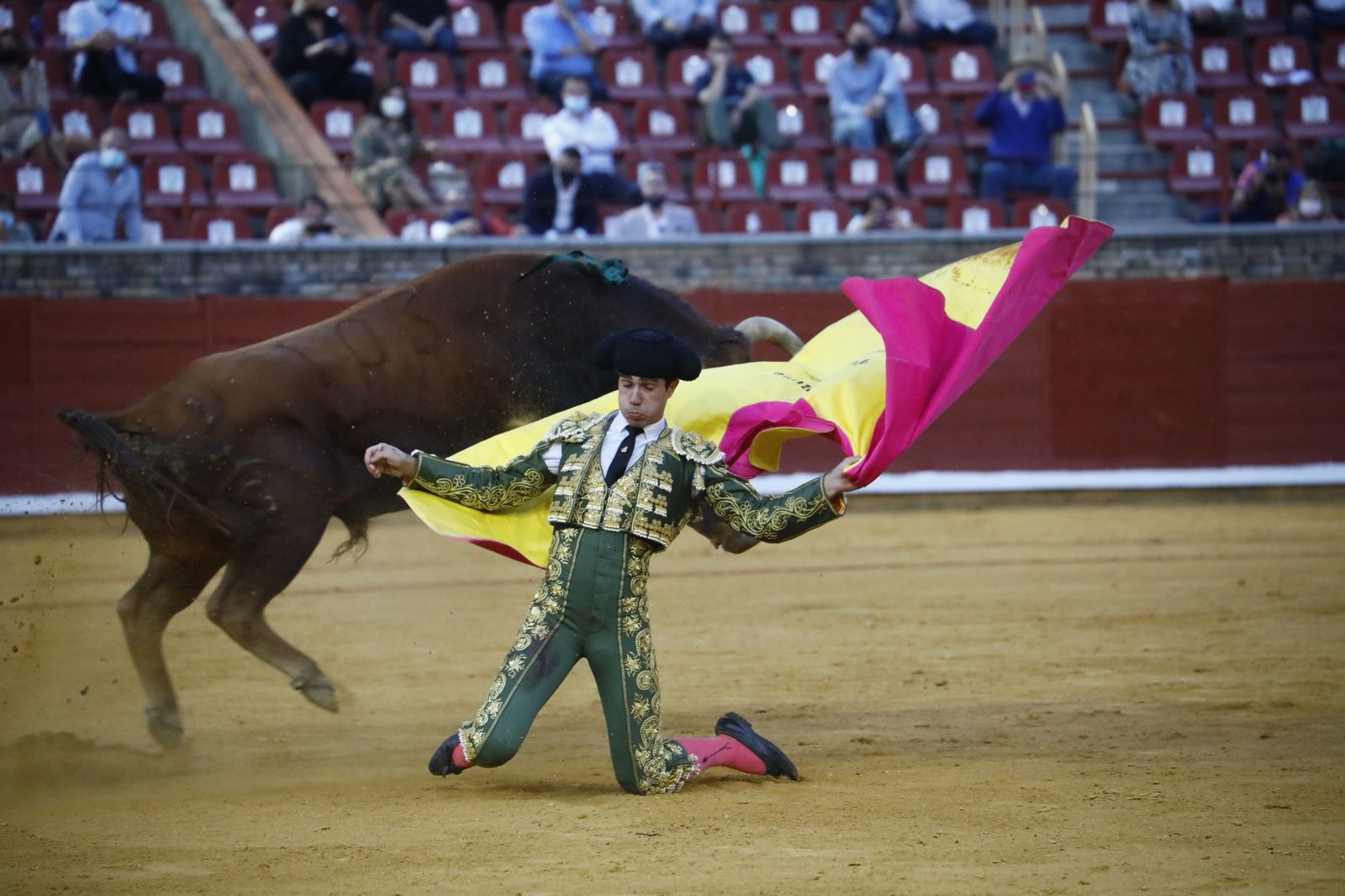 Las fotografías de la novillada con picadores de la Feria Taurina de Córdoba