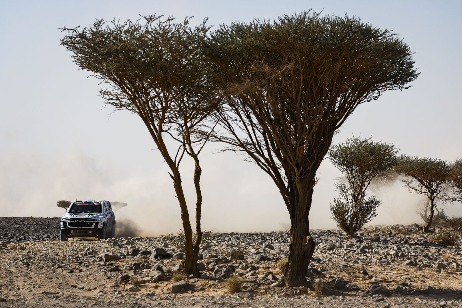 Las mejores fotos del Rally Dakar | Novena etapa
