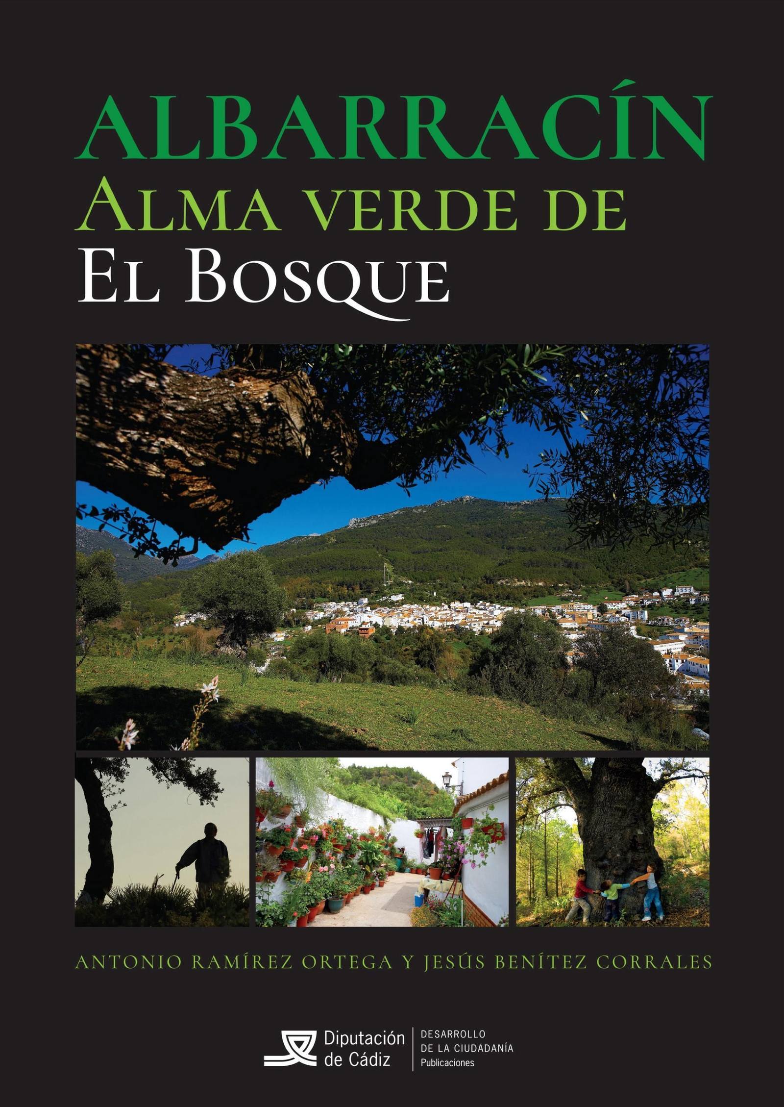 Portada del libro 'Albarracín, Alma Verde de El Bosque'.