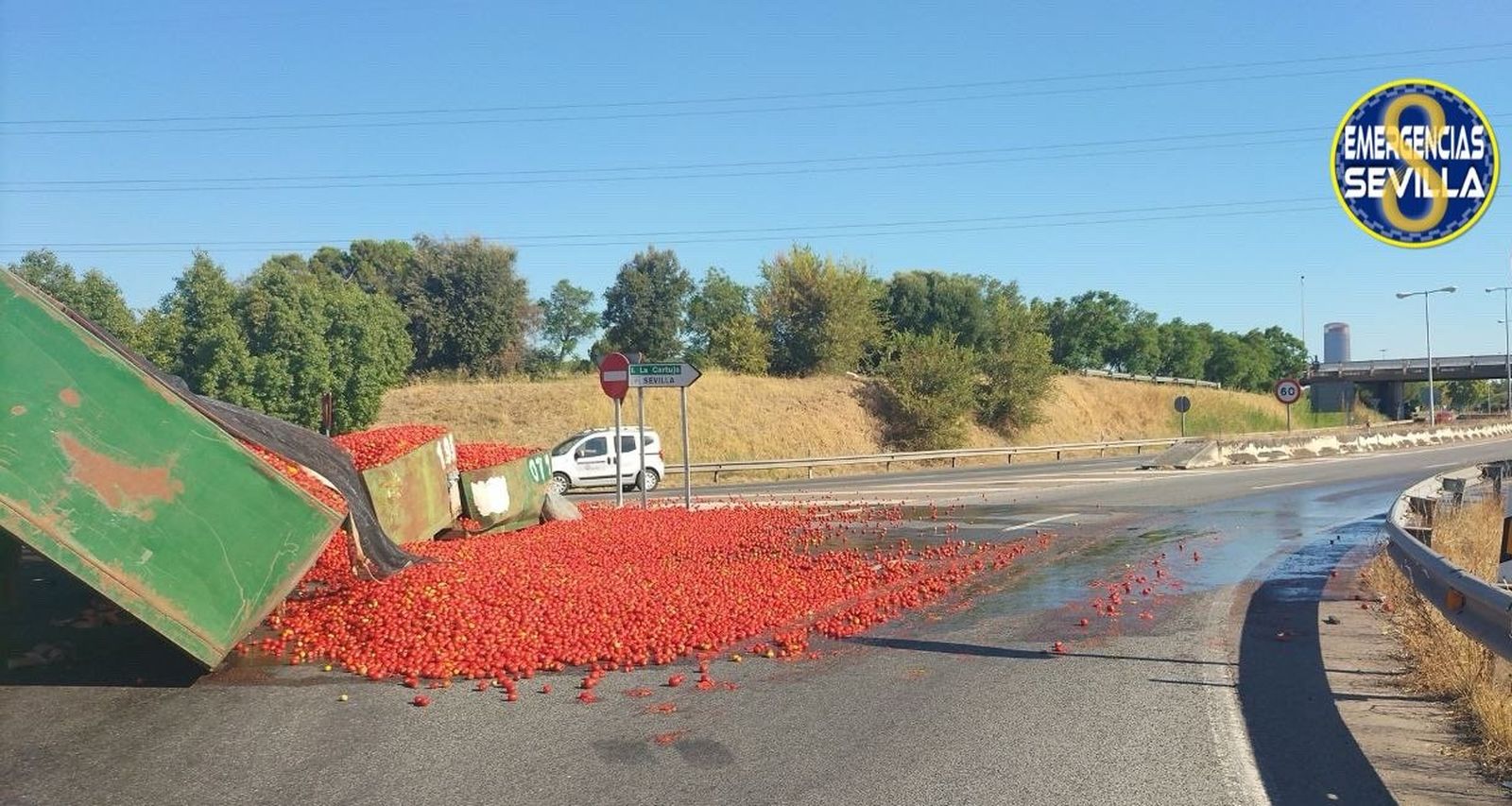 Los tomates sobre la calzada de la Ronda Supernorte poco antes de su confluencia con Carlos III.