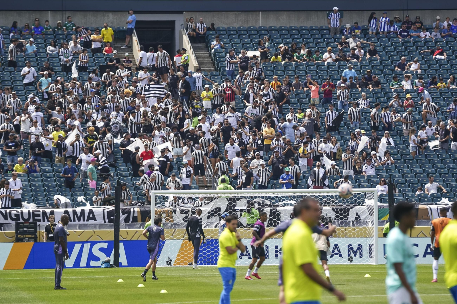 Palmeiras-Botafogo (49).jpg