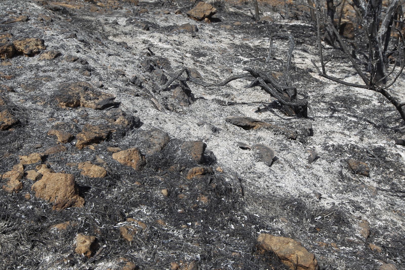 Fotogalería incendio extinguido Sierra de Gádor