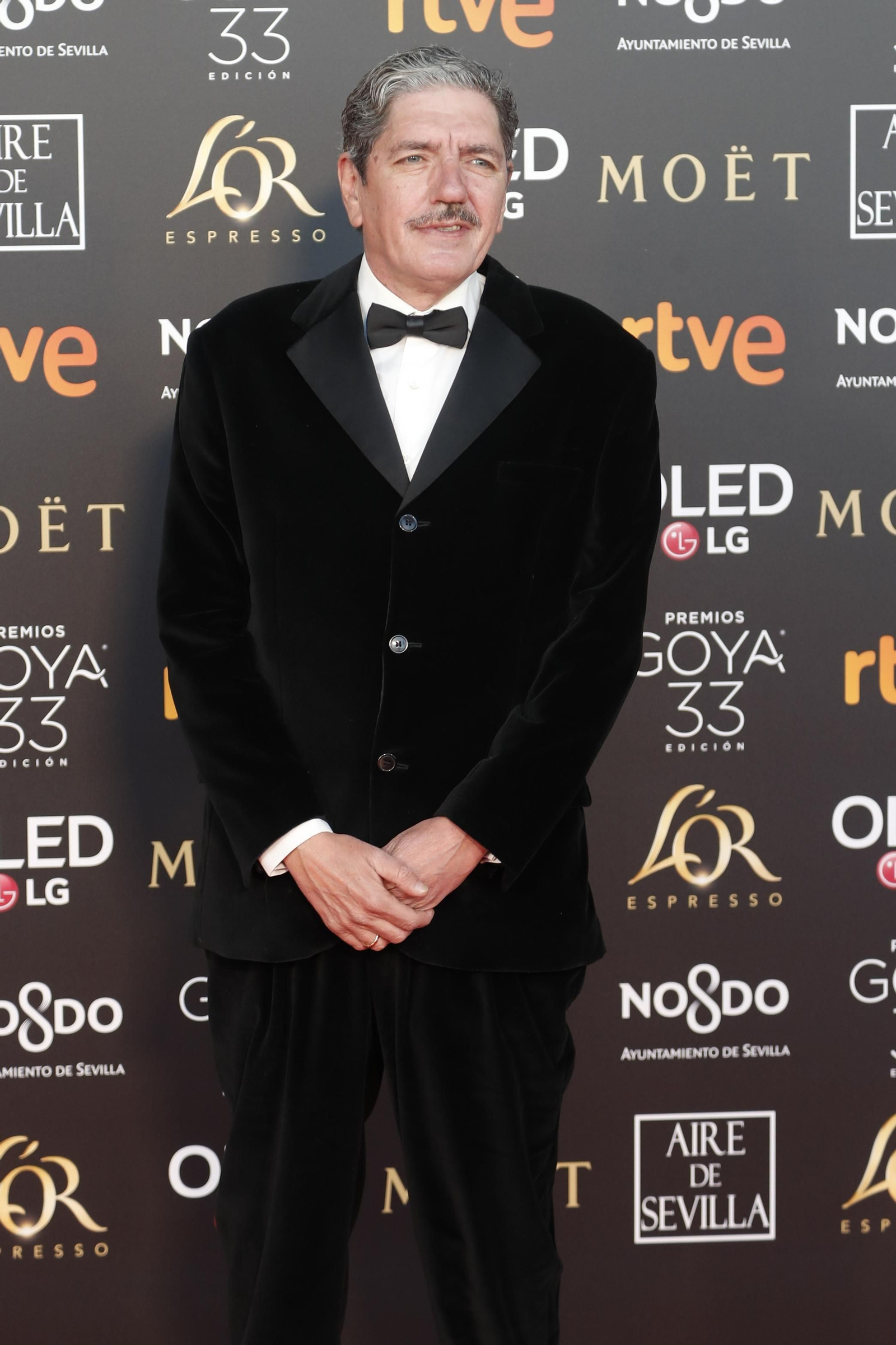 La alfombra roja de los Premios Goya en Sevilla