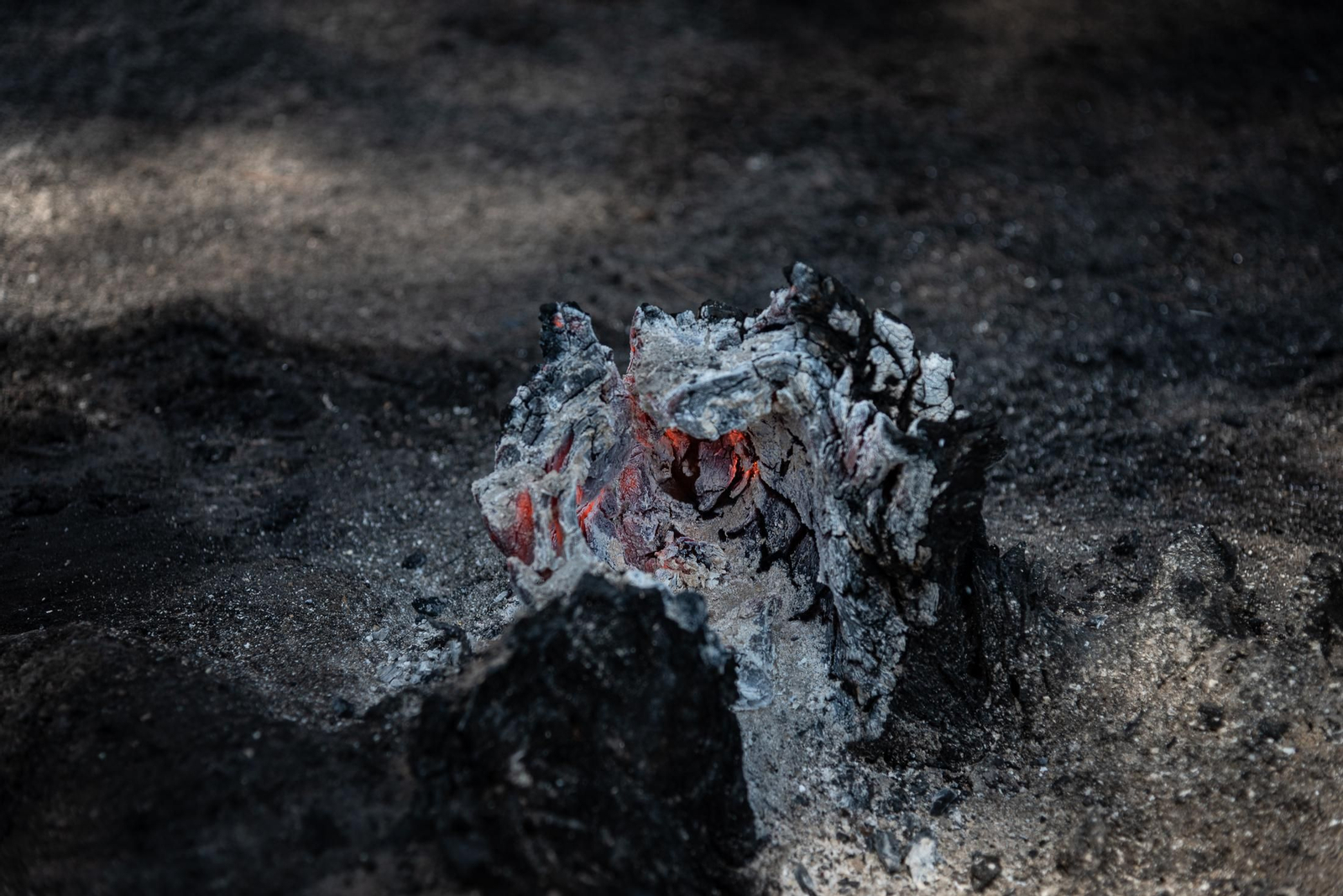 Imágenes de las labores de extinción del incendio de Bonares