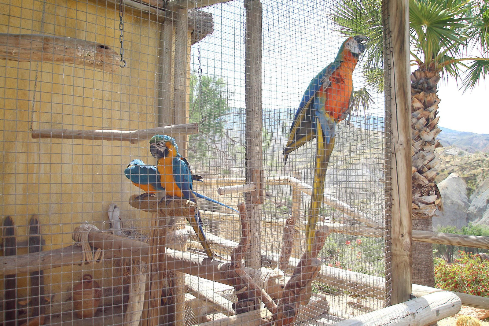 Fotogalería del Oasys Mini Hollywood sin actividad durante el coronavirus