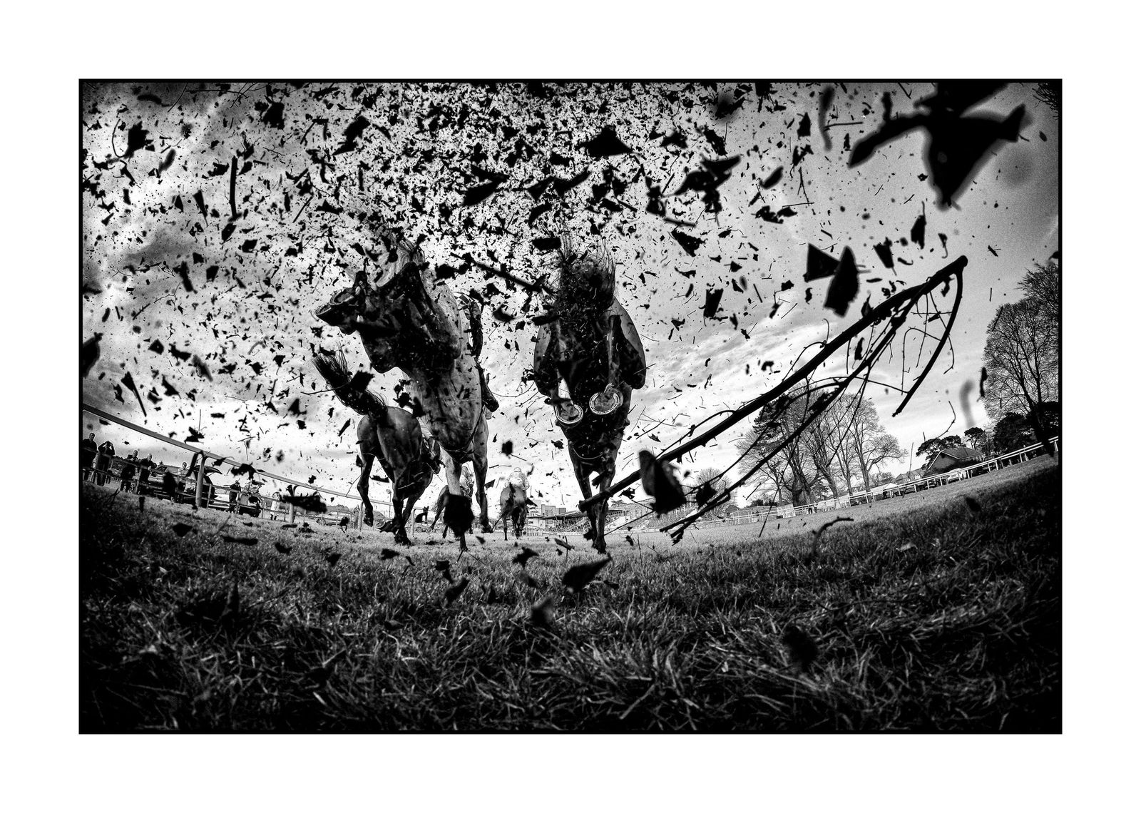 Deportes hípicos | On The Landing Side