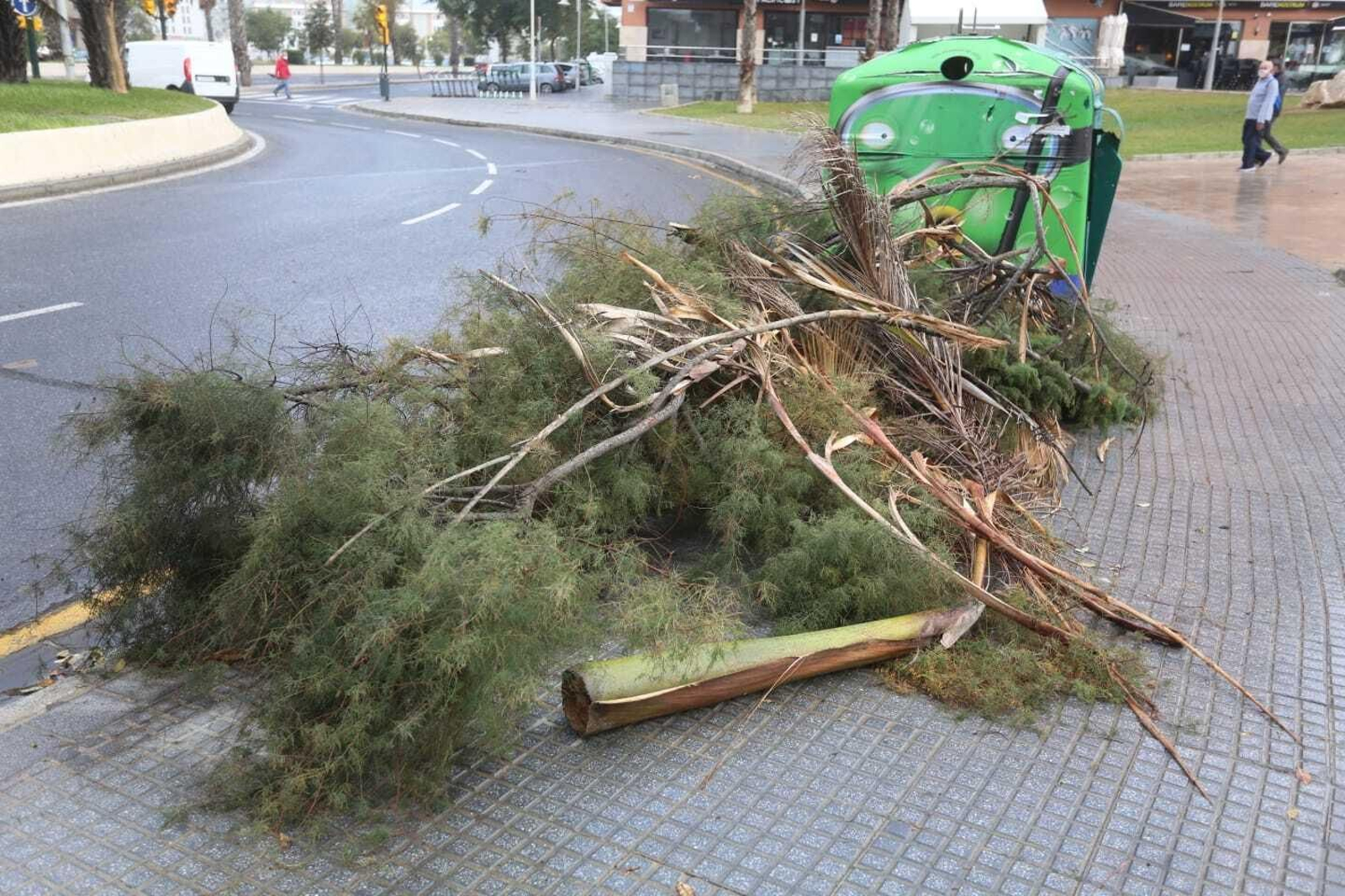 El temporal de lluvia y viento en Málaga