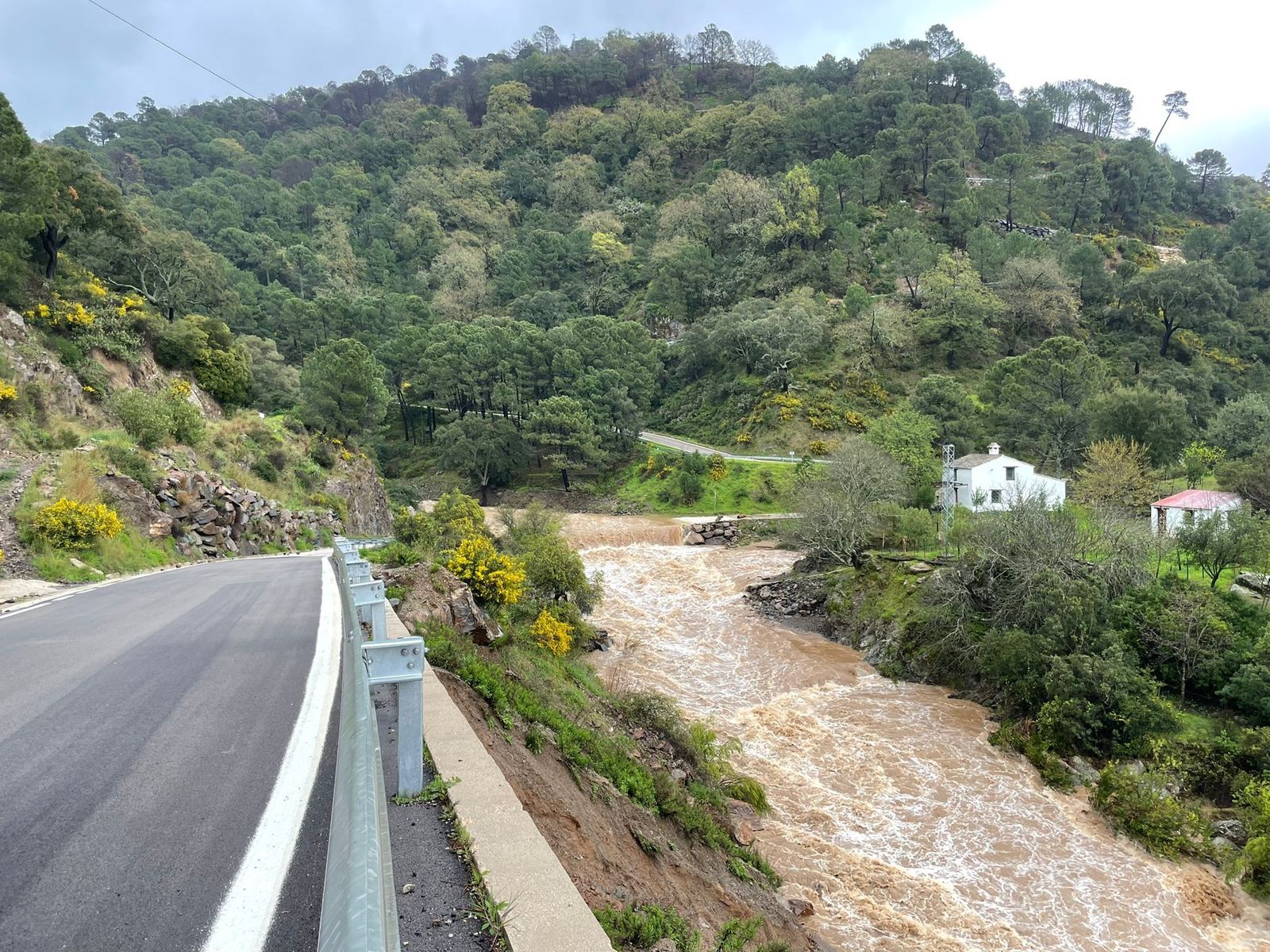 Genalguacil, este jueves