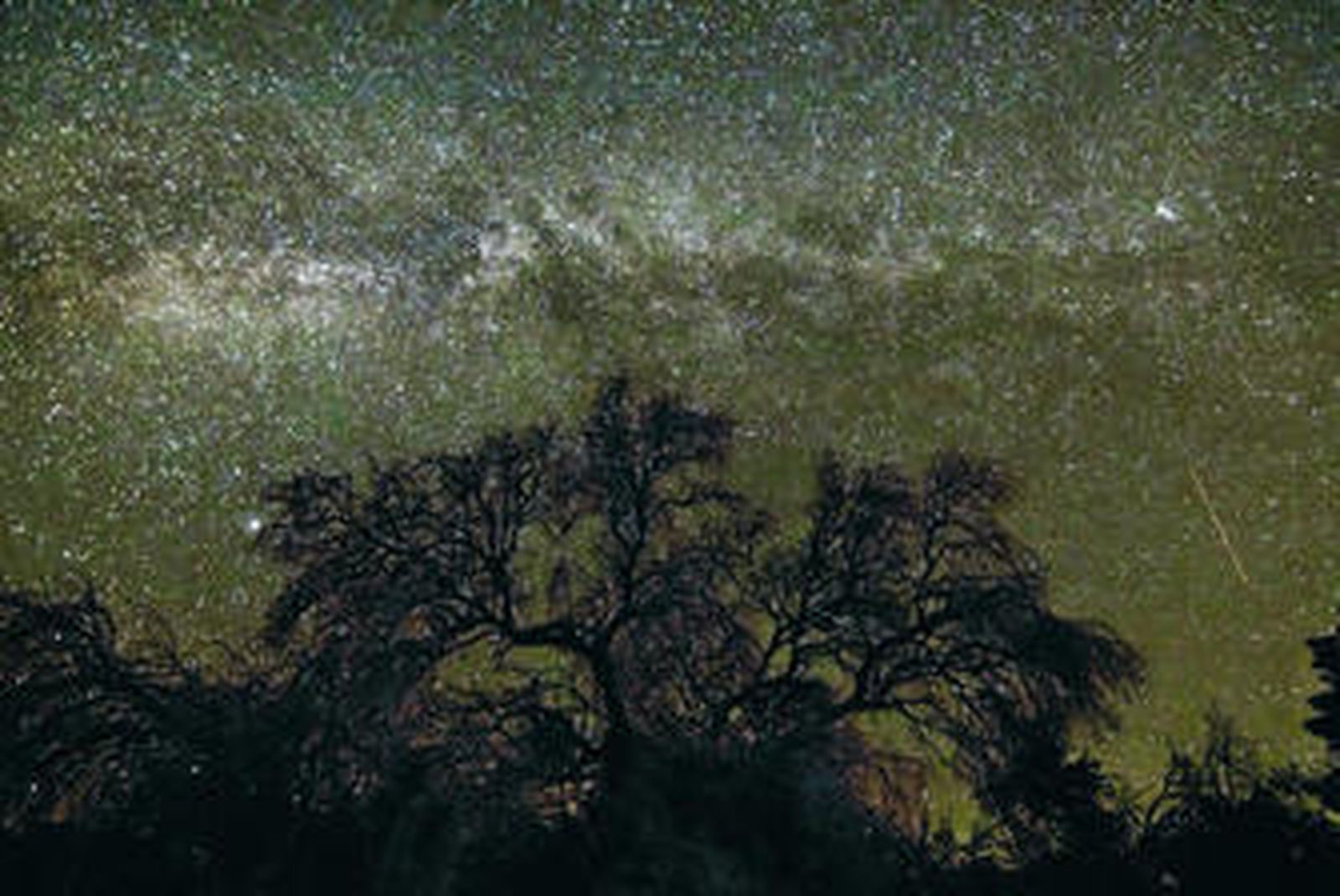 Andalucía, turismo de cinco estrellas