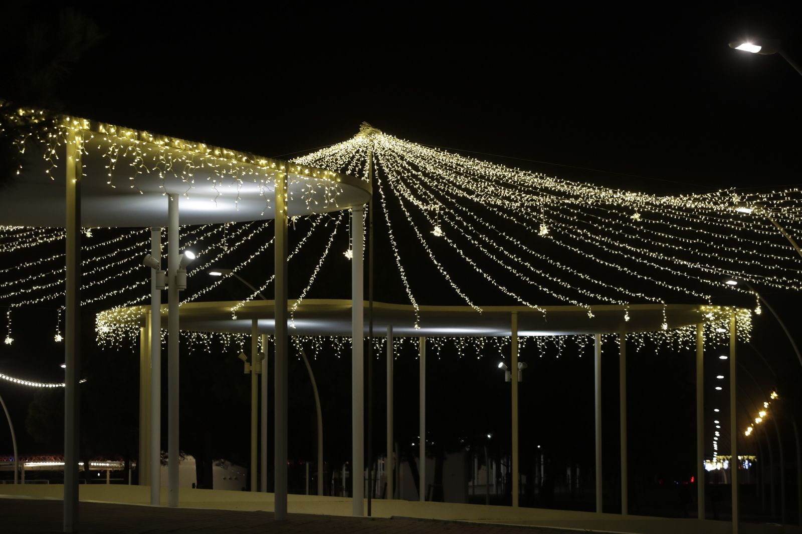 Alumbrado en la avenida Francisco Montenegro.