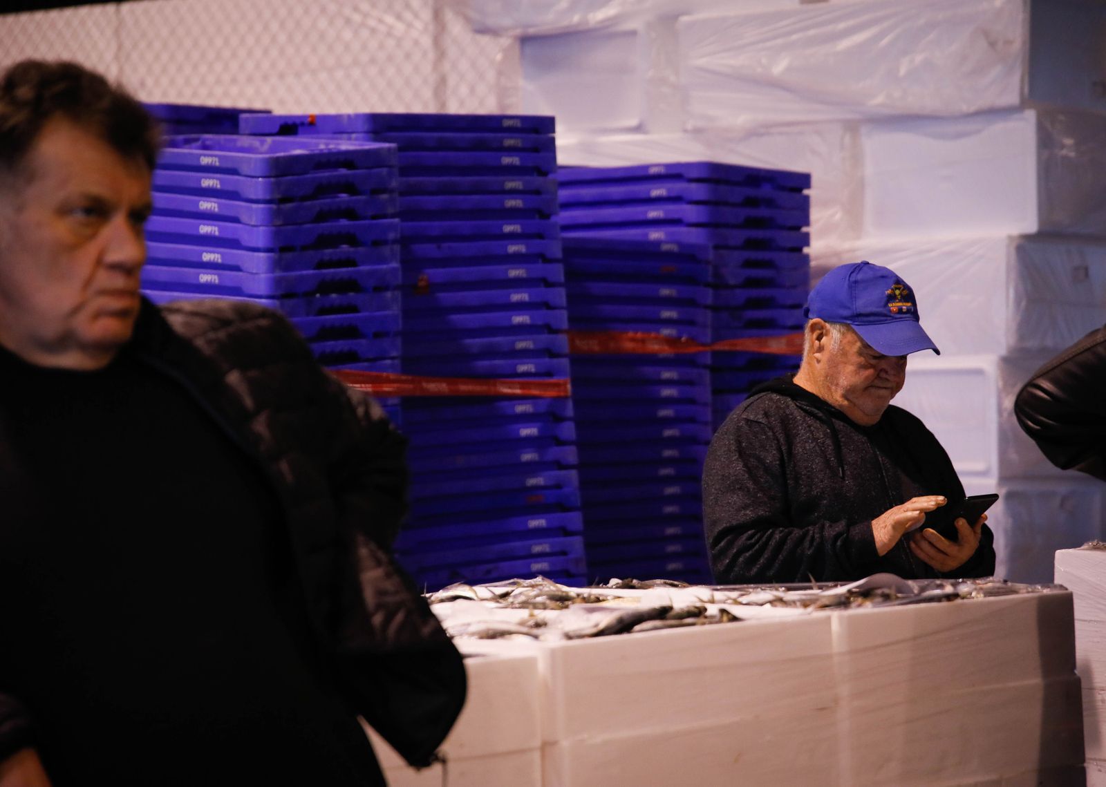 Te contamos en imágenes como ha sido la descarga de las traiñas en la lonja de Almería