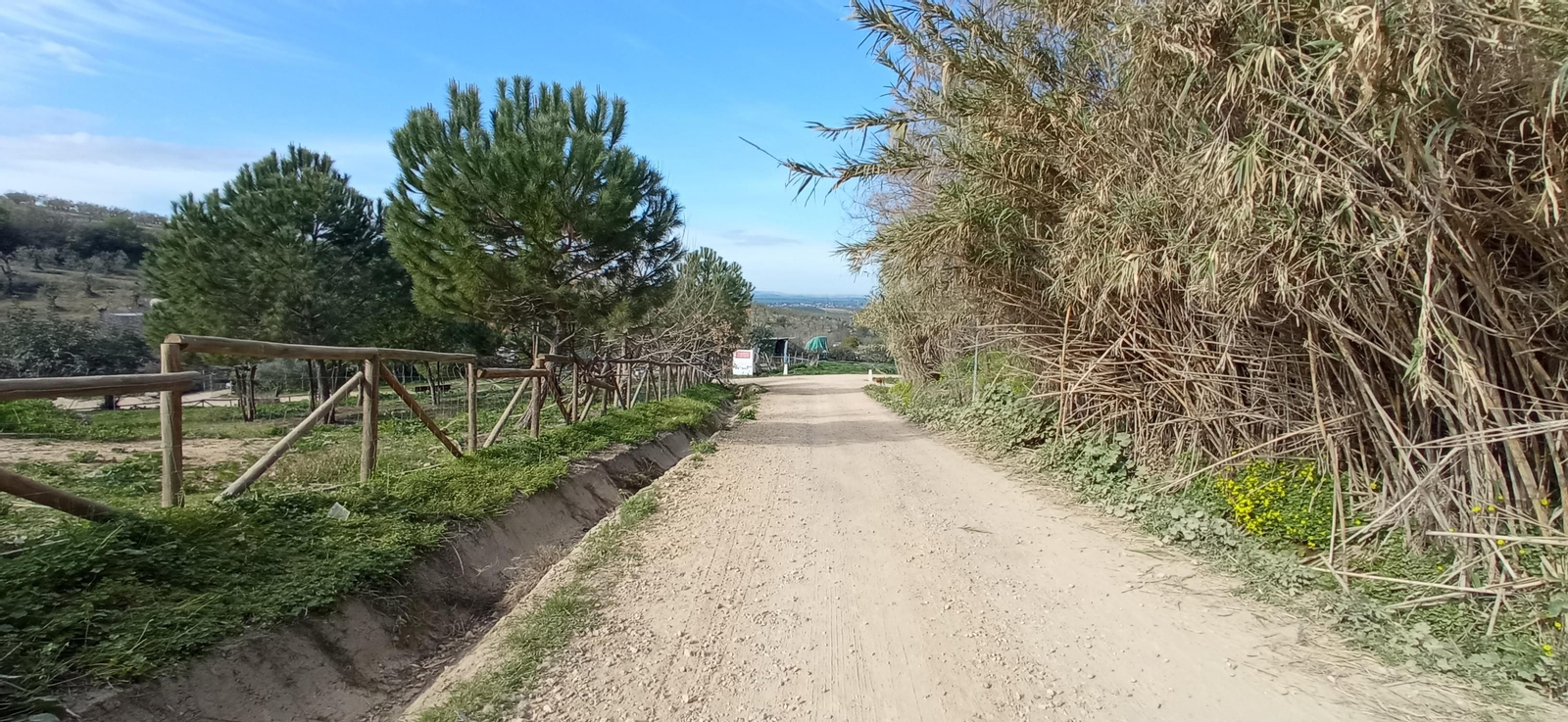 Las imágenes de la ruta de la dehesa de Albaida del Aljarafe